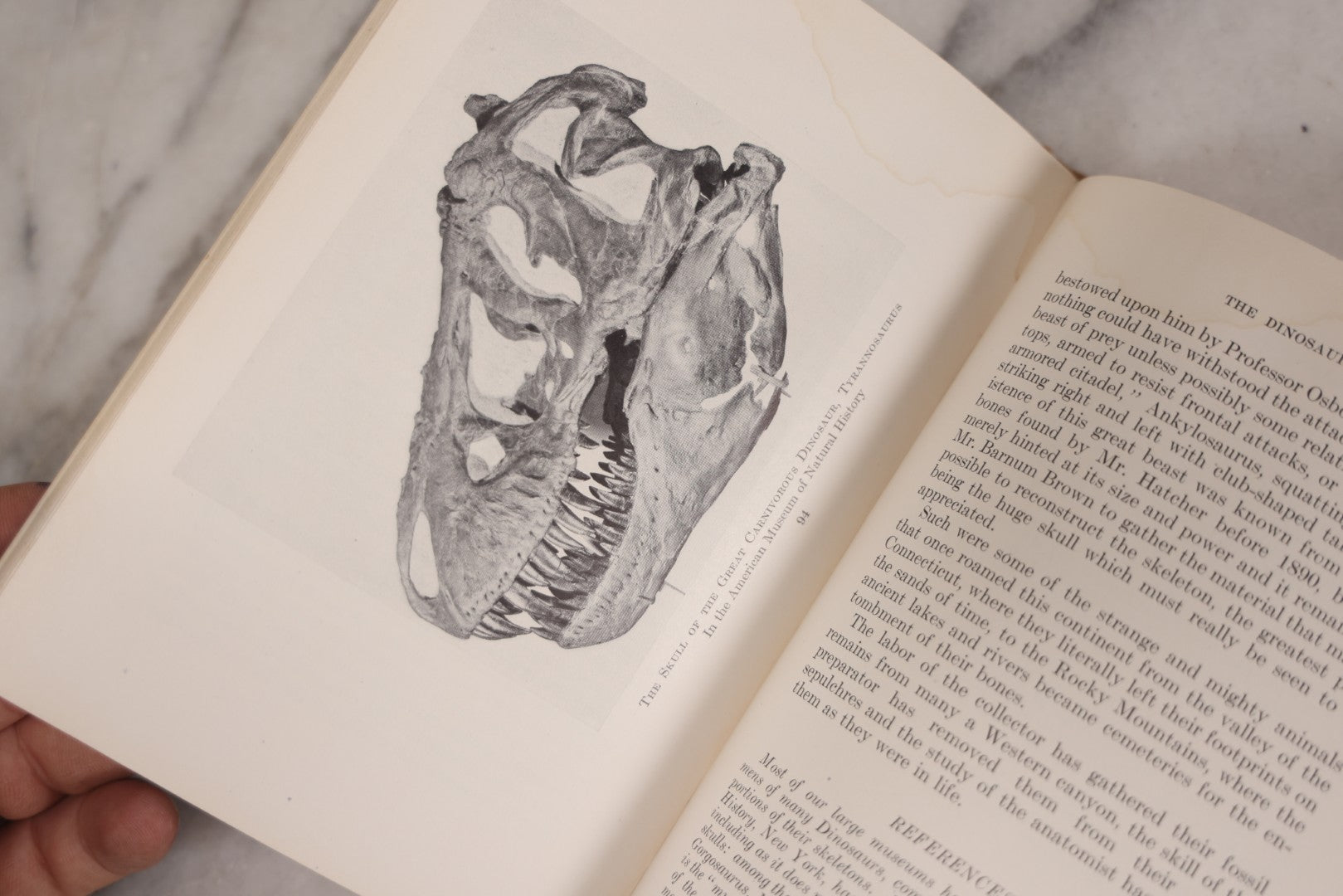 Lot 107 - "Animals Of The Past: An Account Of Some Of The Creatures Of The Ancient World" Illustrated Prehistoric Animal Book By Frederic A. Lucas, Director Of The Museum Of Natural History, Published By The American Museum Press, New York, 1922