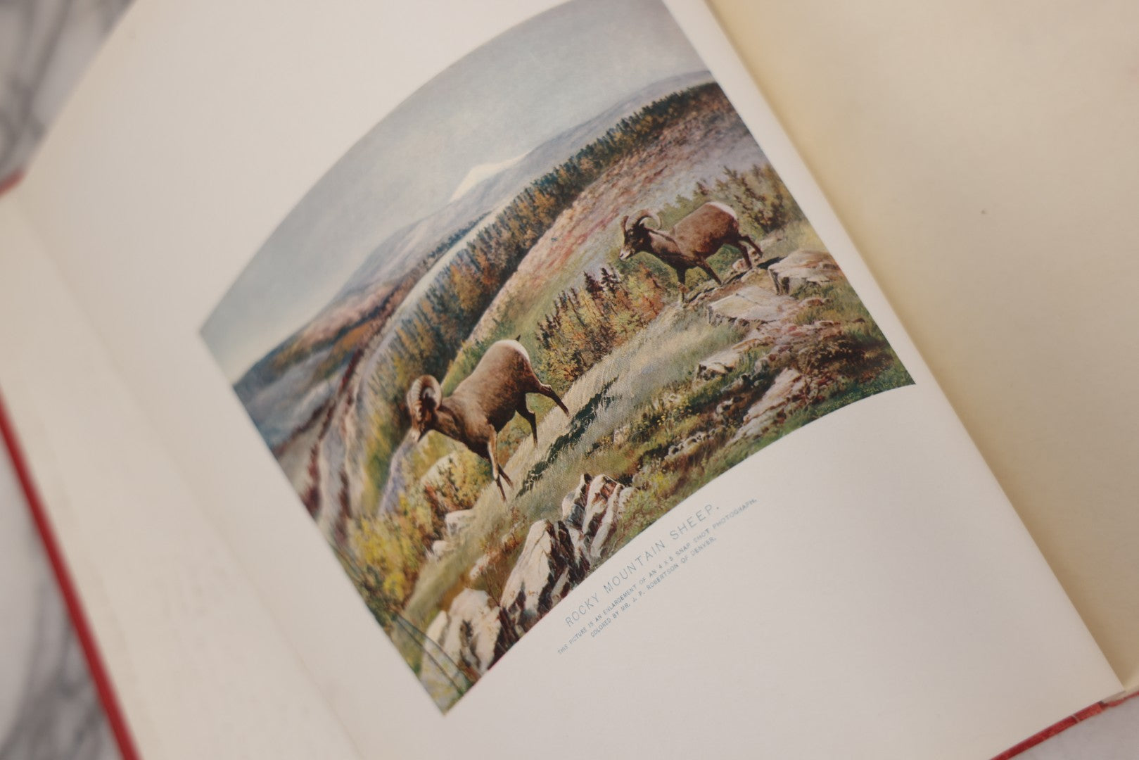 Lot 108 - "Hoofs, Claws And Antlers Of The Rocky Mountains By The Camera" Antique Photography Book With Introduction By Buffalo Bill, Published By Frank S. Thayer, Denver, Colorado, 1902, With Gilt Foredge