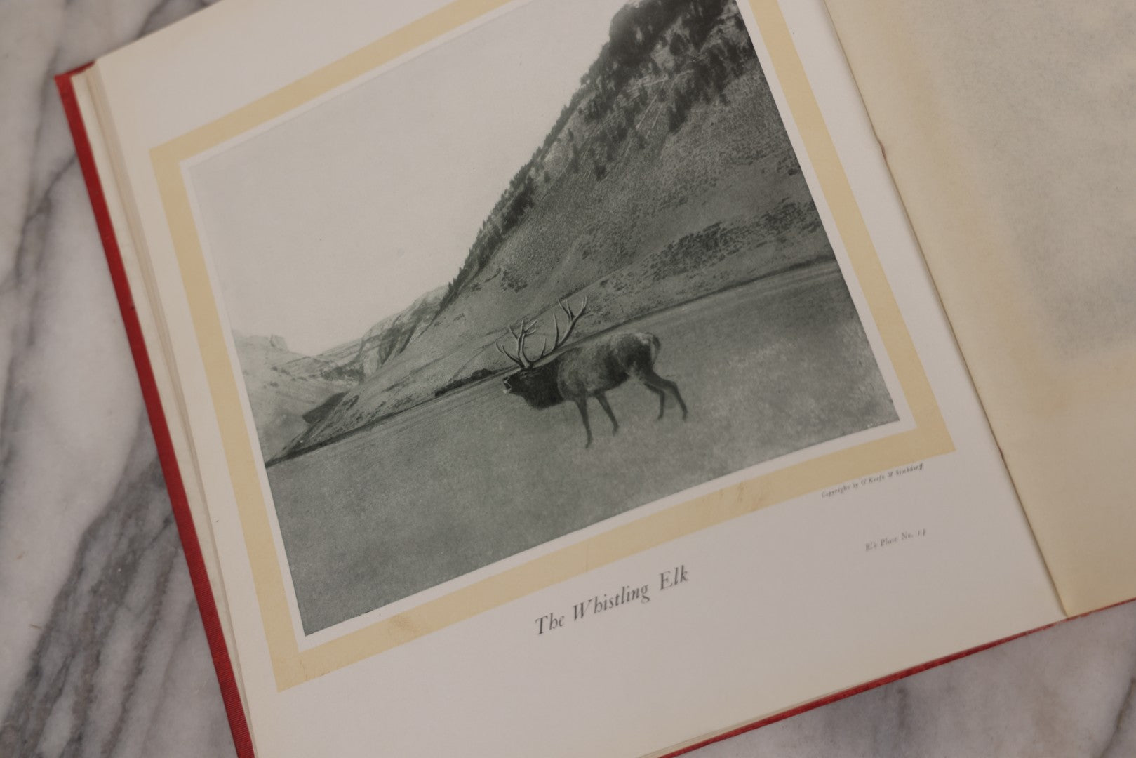 Lot 108 - "Hoofs, Claws And Antlers Of The Rocky Mountains By The Camera" Antique Photography Book With Introduction By Buffalo Bill, Published By Frank S. Thayer, Denver, Colorado, 1902, With Gilt Foredge