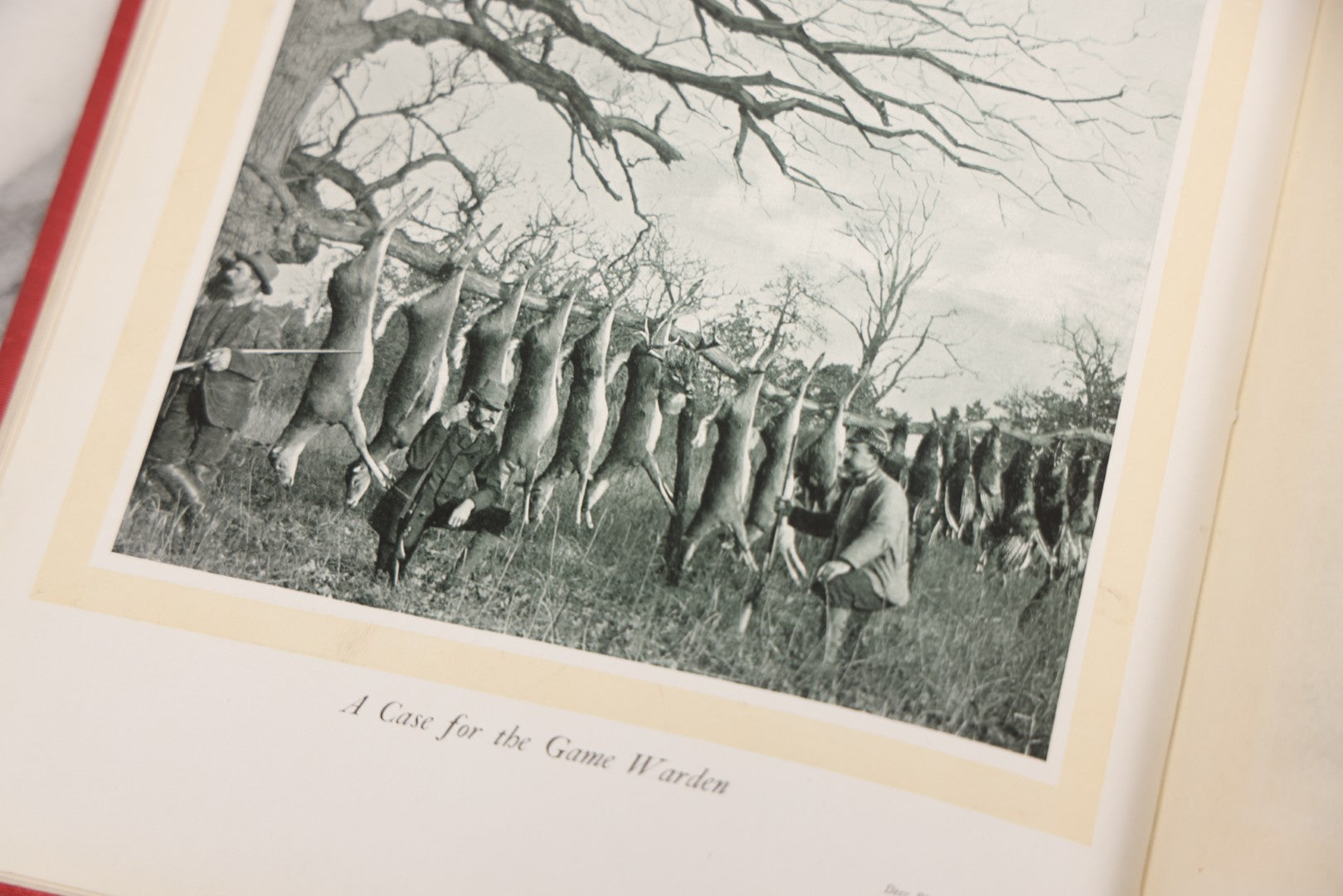 Lot 108 - "Hoofs, Claws And Antlers Of The Rocky Mountains By The Camera" Antique Photography Book With Introduction By Buffalo Bill, Published By Frank S. Thayer, Denver, Colorado, 1902, With Gilt Foredge