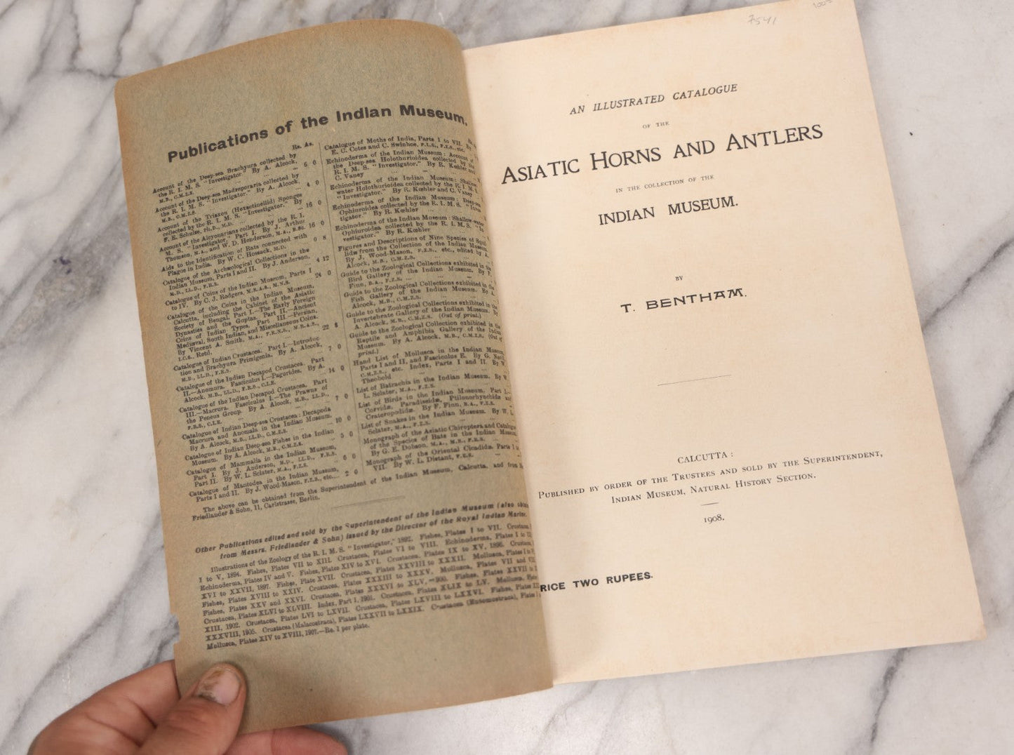 Lot 109 - "An Illustrated Catalogue Of The Asiatic Horns And Antlers In The Collection Of The Indian Museum" Antique English Booklet By T. Bentham, Published By The Indian Museum, Calcutta, India, 1908