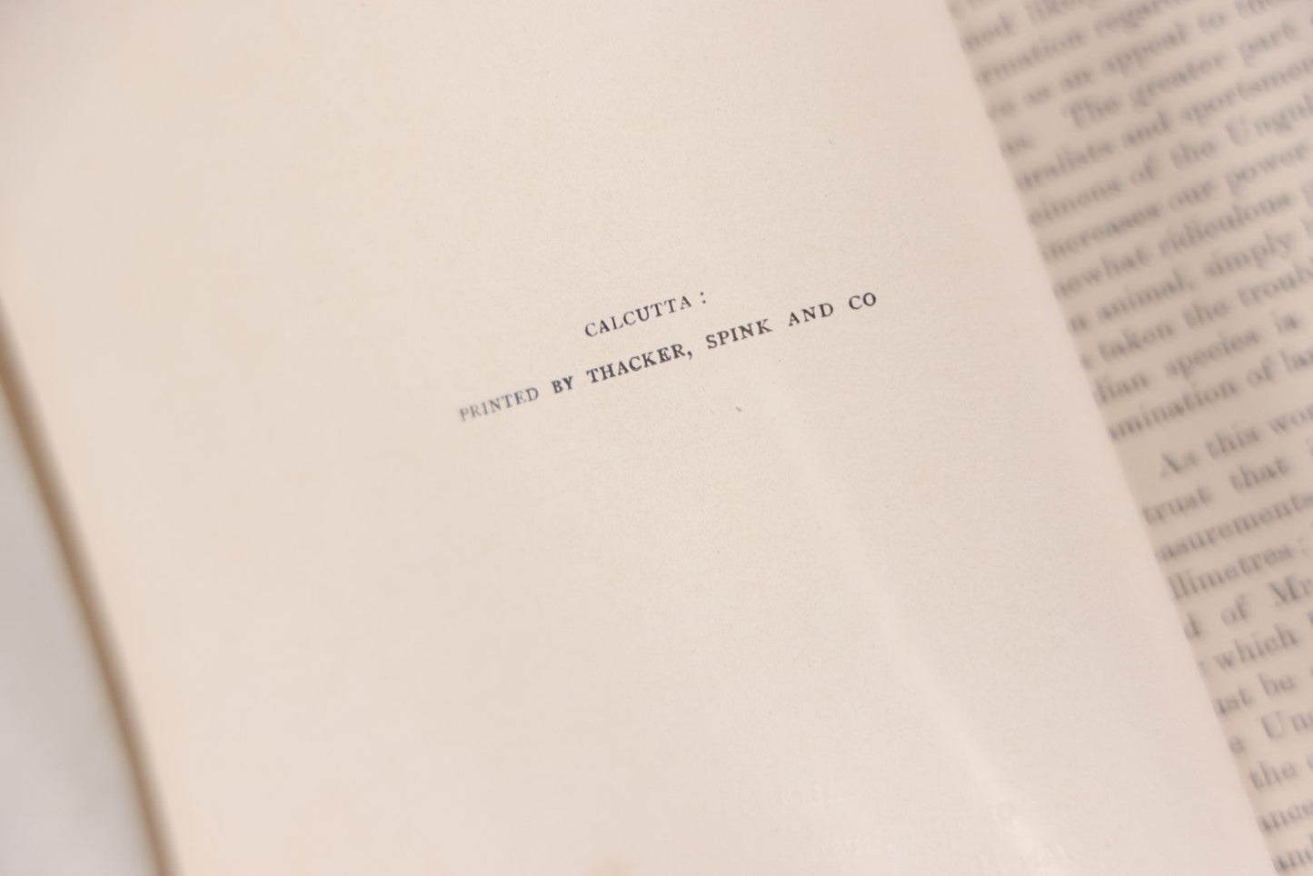 Lot 109 - "An Illustrated Catalogue Of The Asiatic Horns And Antlers In The Collection Of The Indian Museum" Antique English Booklet By T. Bentham, Published By The Indian Museum, Calcutta, India, 1908