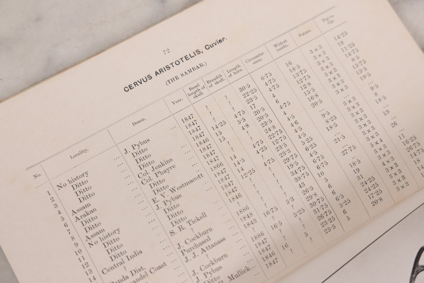 Lot 109 - "An Illustrated Catalogue Of The Asiatic Horns And Antlers In The Collection Of The Indian Museum" Antique English Booklet By T. Bentham, Published By The Indian Museum, Calcutta, India, 1908