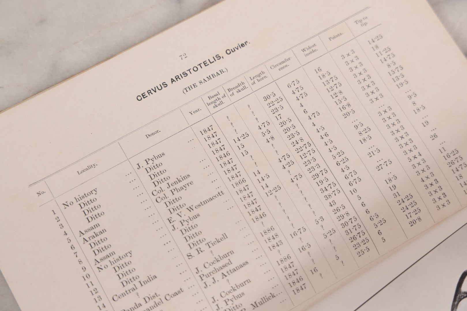 Lot 109 - "An Illustrated Catalogue Of The Asiatic Horns And Antlers In The Collection Of The Indian Museum" Antique English Booklet By T. Bentham, Published By The Indian Museum, Calcutta, India, 1908