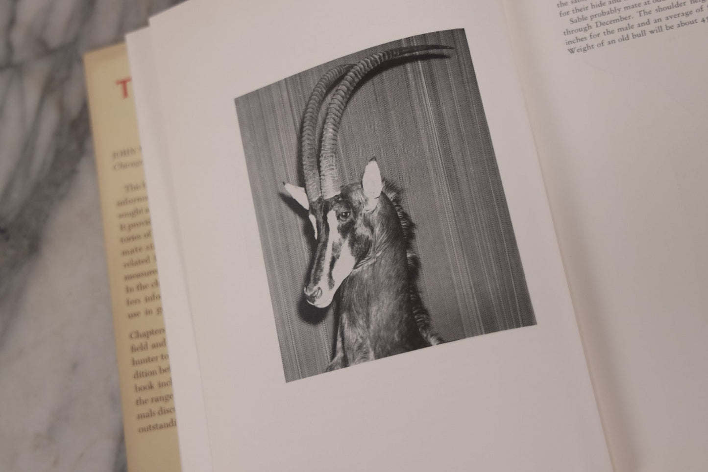 Lot 110 - "Trophy Heads" Vintage Illustrated Taxidermy Book By John W. Moyer, Published By The Ronald Press Company, New York, 1962