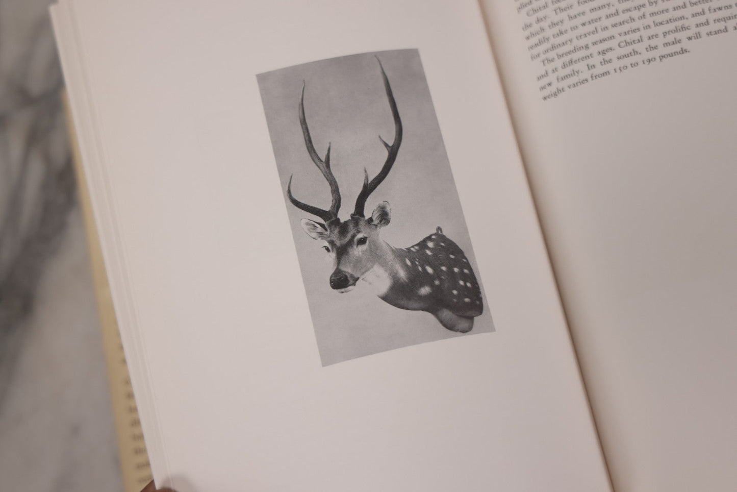 Lot 110 - "Trophy Heads" Vintage Illustrated Taxidermy Book By John W. Moyer, Published By The Ronald Press Company, New York, 1962