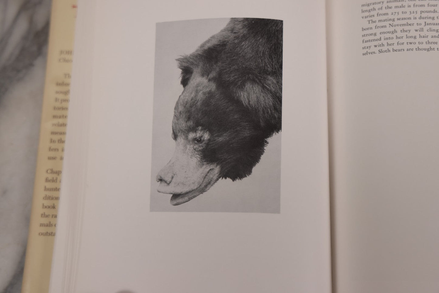 Lot 110 - "Trophy Heads" Vintage Illustrated Taxidermy Book By John W. Moyer, Published By The Ronald Press Company, New York, 1962