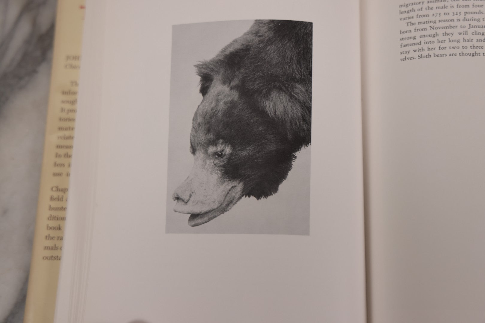 Lot 110 - "Trophy Heads" Vintage Illustrated Taxidermy Book By John W. Moyer, Published By The Ronald Press Company, New York, 1962