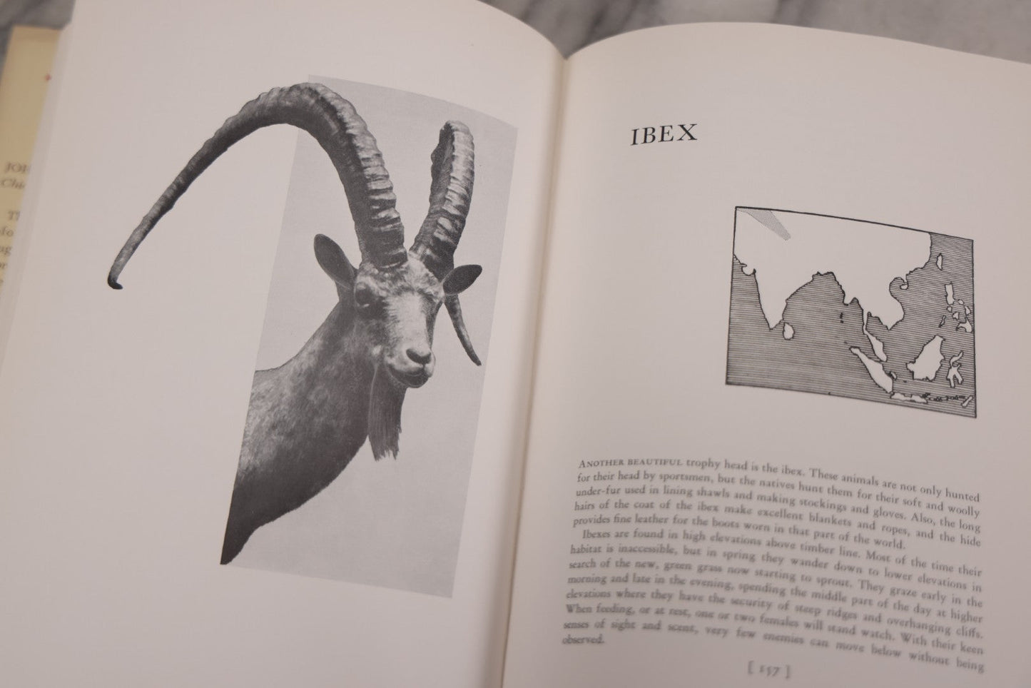 Lot 110 - "Trophy Heads" Vintage Illustrated Taxidermy Book By John W. Moyer, Published By The Ronald Press Company, New York, 1962