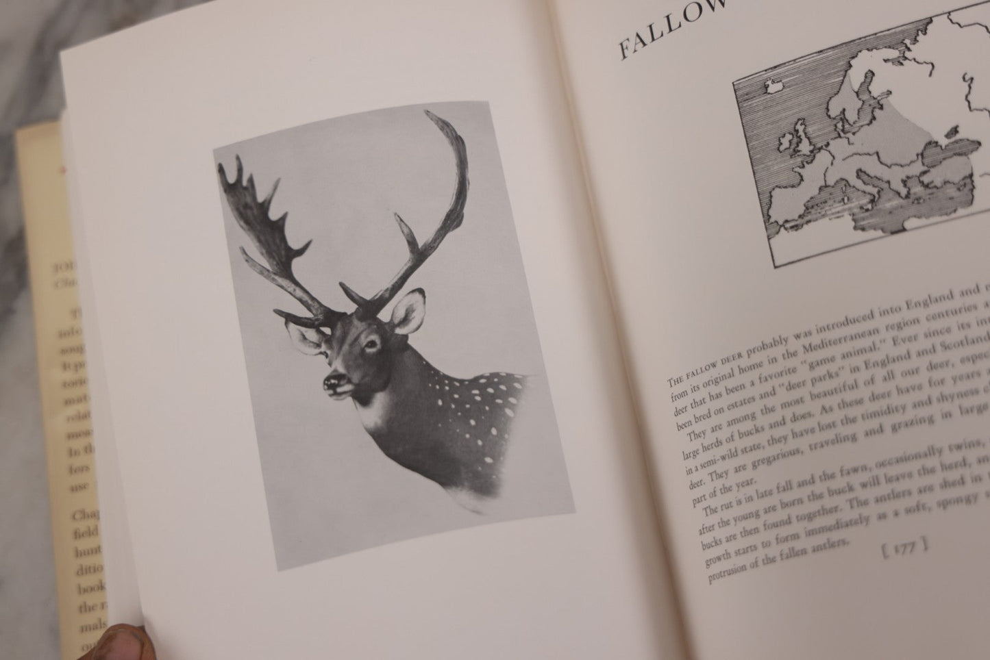 Lot 110 - "Trophy Heads" Vintage Illustrated Taxidermy Book By John W. Moyer, Published By The Ronald Press Company, New York, 1962