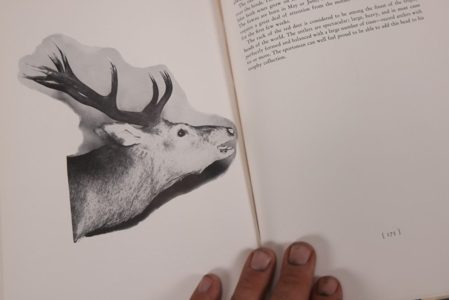 Lot 110 - "Trophy Heads" Vintage Illustrated Taxidermy Book By John W. Moyer, Published By The Ronald Press Company, New York, 1962