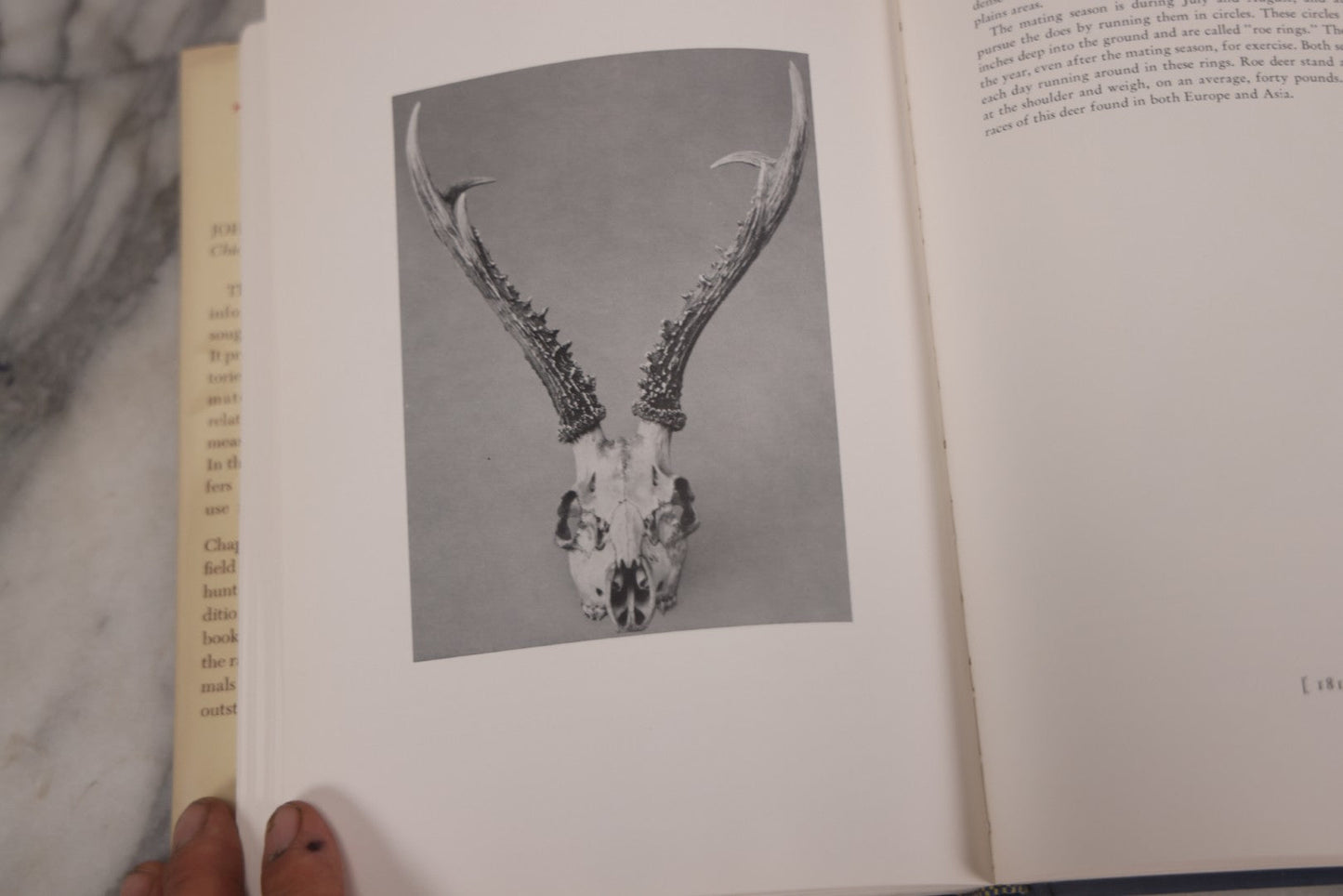 Lot 110 - "Trophy Heads" Vintage Illustrated Taxidermy Book By John W. Moyer, Published By The Ronald Press Company, New York, 1962