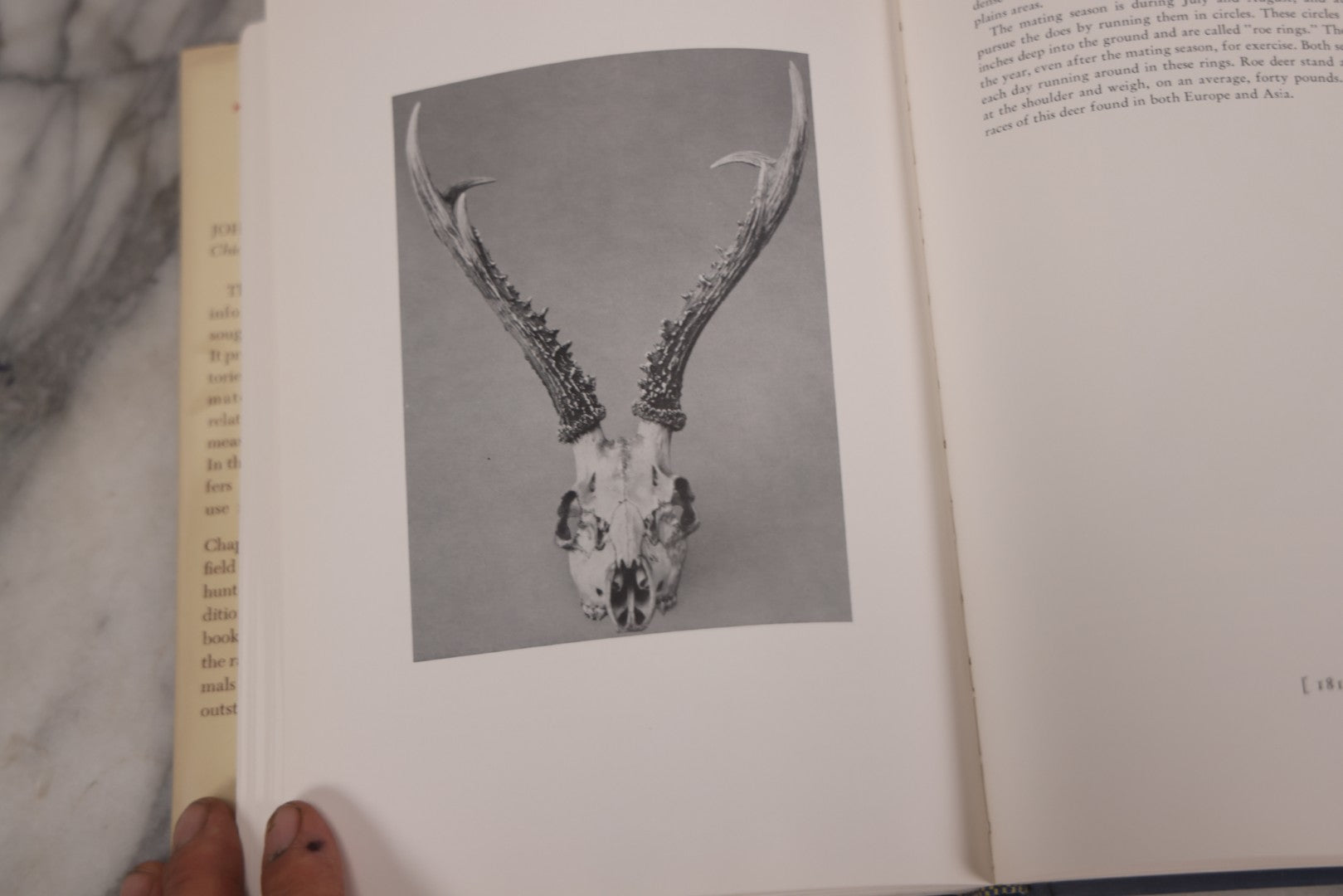 Lot 110 - "Trophy Heads" Vintage Illustrated Taxidermy Book By John W. Moyer, Published By The Ronald Press Company, New York, 1962