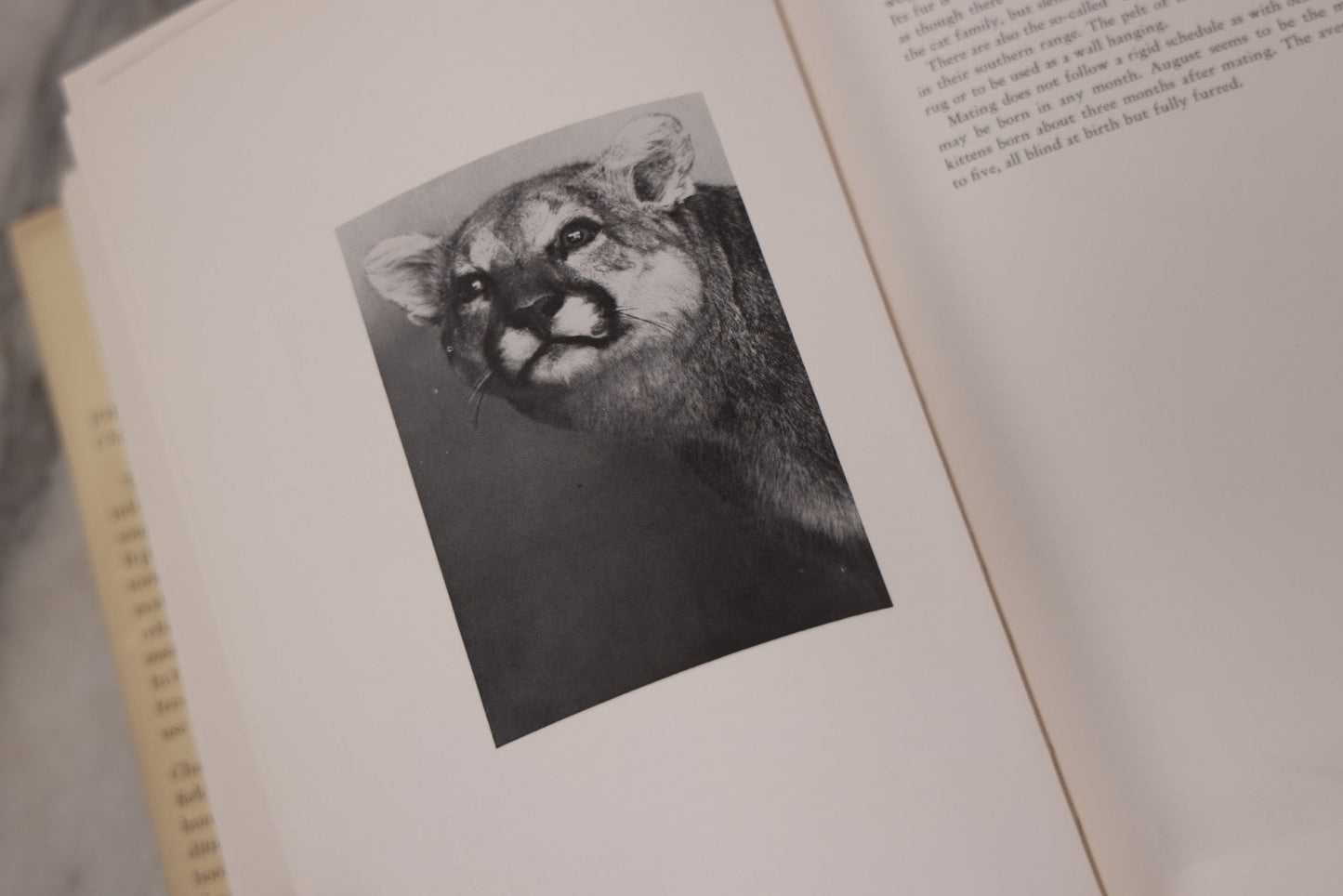 Lot 110 - "Trophy Heads" Vintage Illustrated Taxidermy Book By John W. Moyer, Published By The Ronald Press Company, New York, 1962