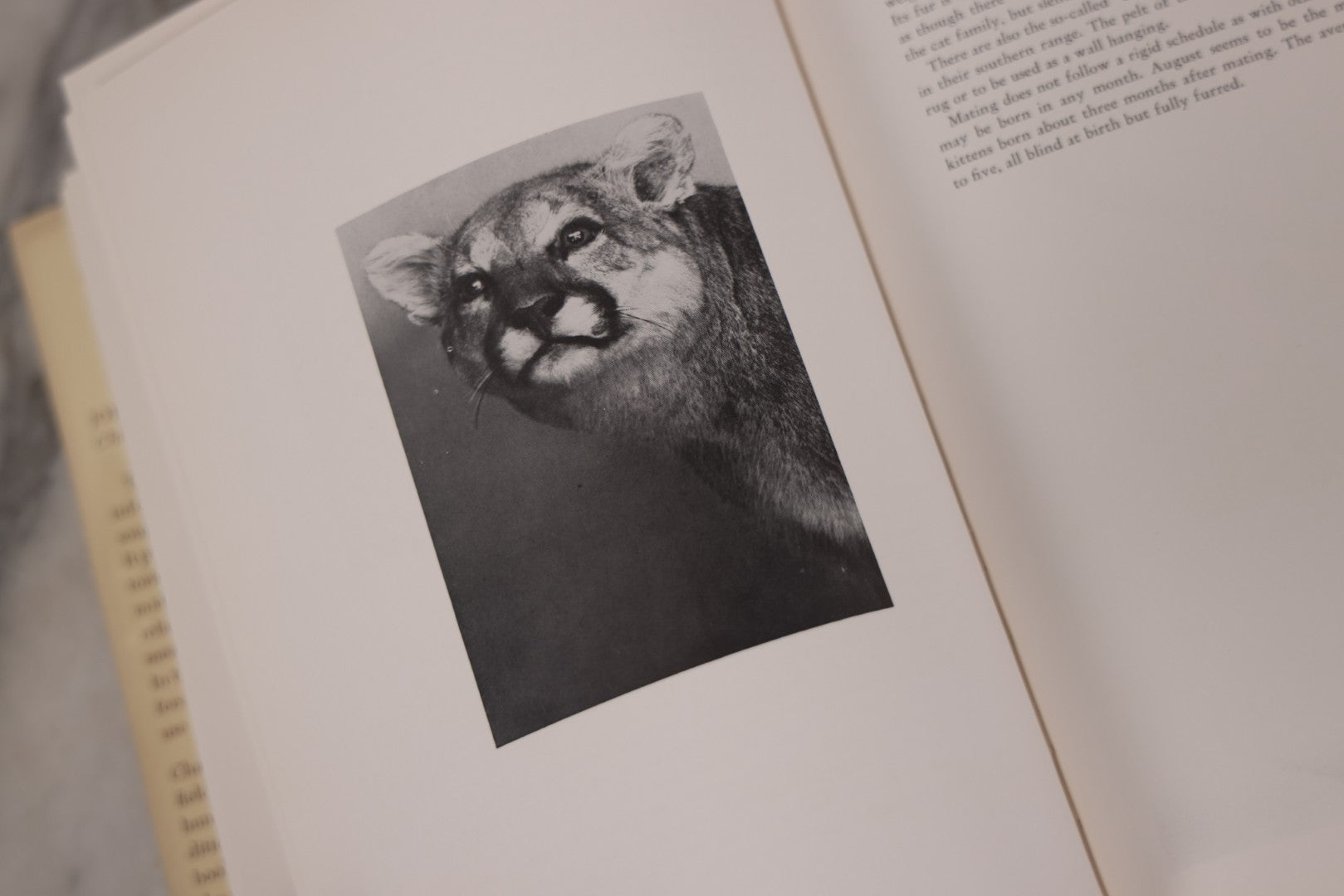Lot 110 - "Trophy Heads" Vintage Illustrated Taxidermy Book By John W. Moyer, Published By The Ronald Press Company, New York, 1962