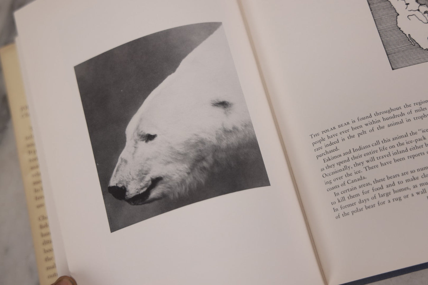 Lot 110 - "Trophy Heads" Vintage Illustrated Taxidermy Book By John W. Moyer, Published By The Ronald Press Company, New York, 1962