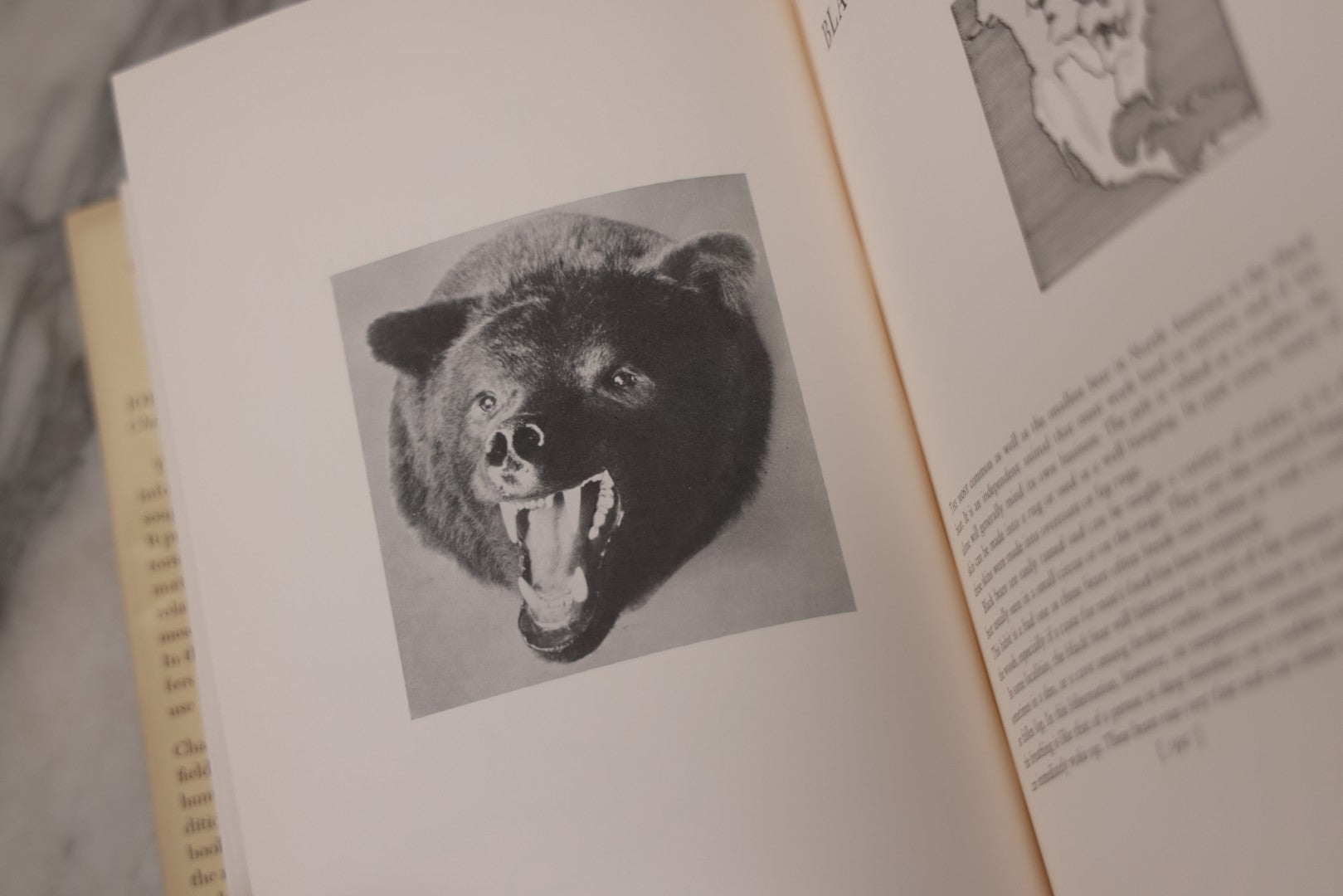 Lot 110 - "Trophy Heads" Vintage Illustrated Taxidermy Book By John W. Moyer, Published By The Ronald Press Company, New York, 1962