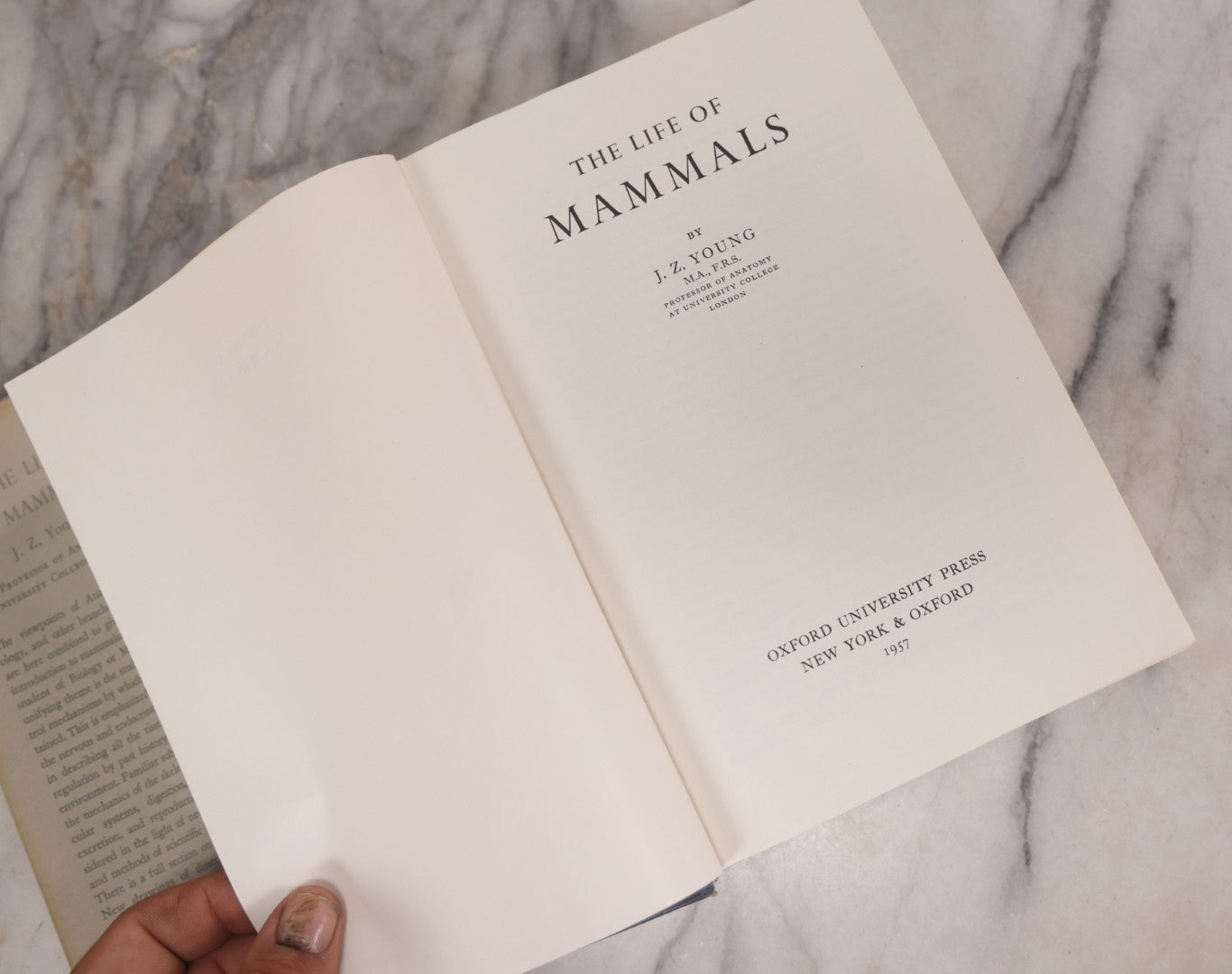 Lot 111 - "The Life Of Mammals" Vintage Illustrated Biology Book By J.Z. Young, Published By Oxford University Press, New York, 1957