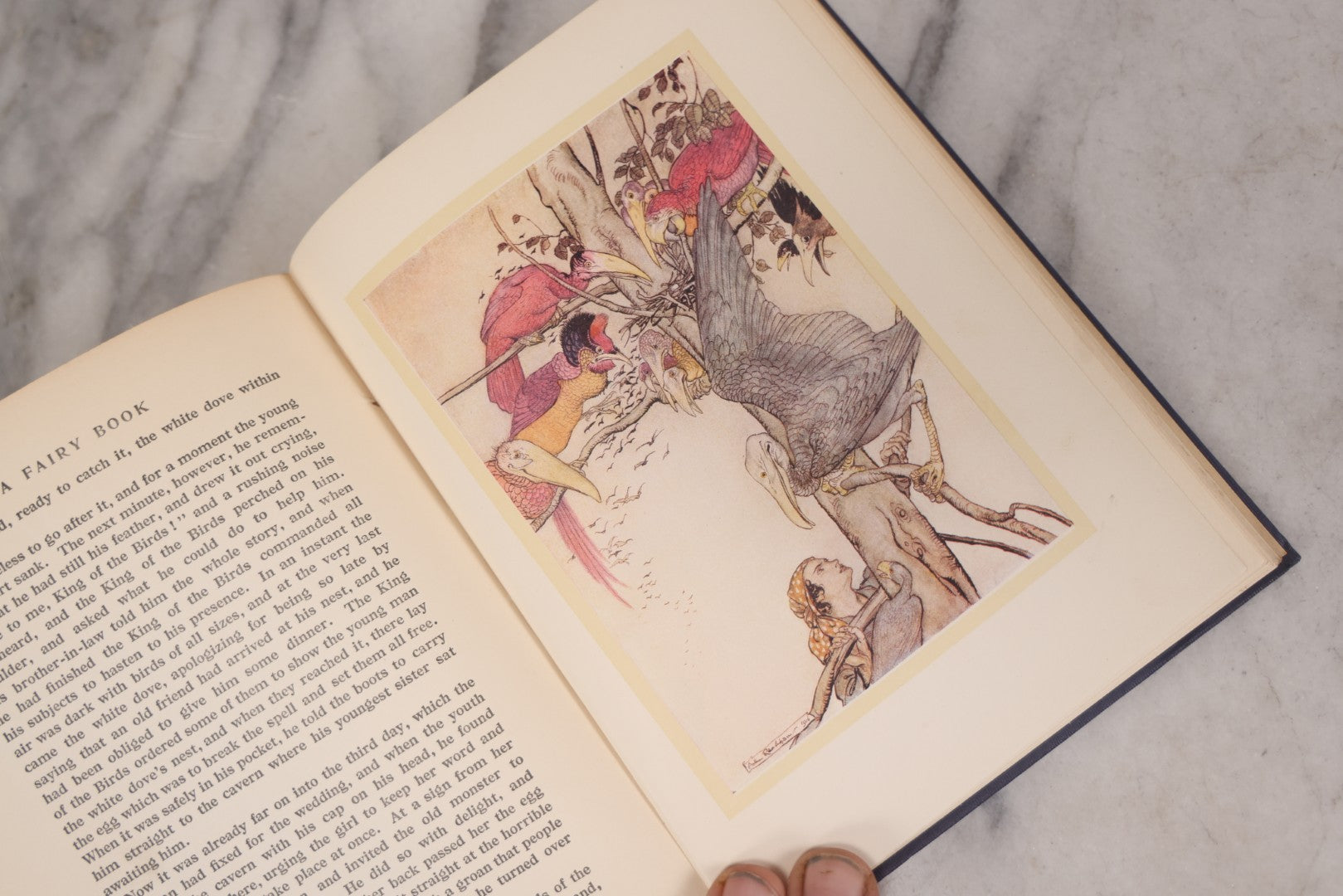 Lot 113 - "A Fairy Book," Antique Book Illustrated By Arthur Rackham, Published By Doubleday, Page & Company, Garden City, New York, 1923