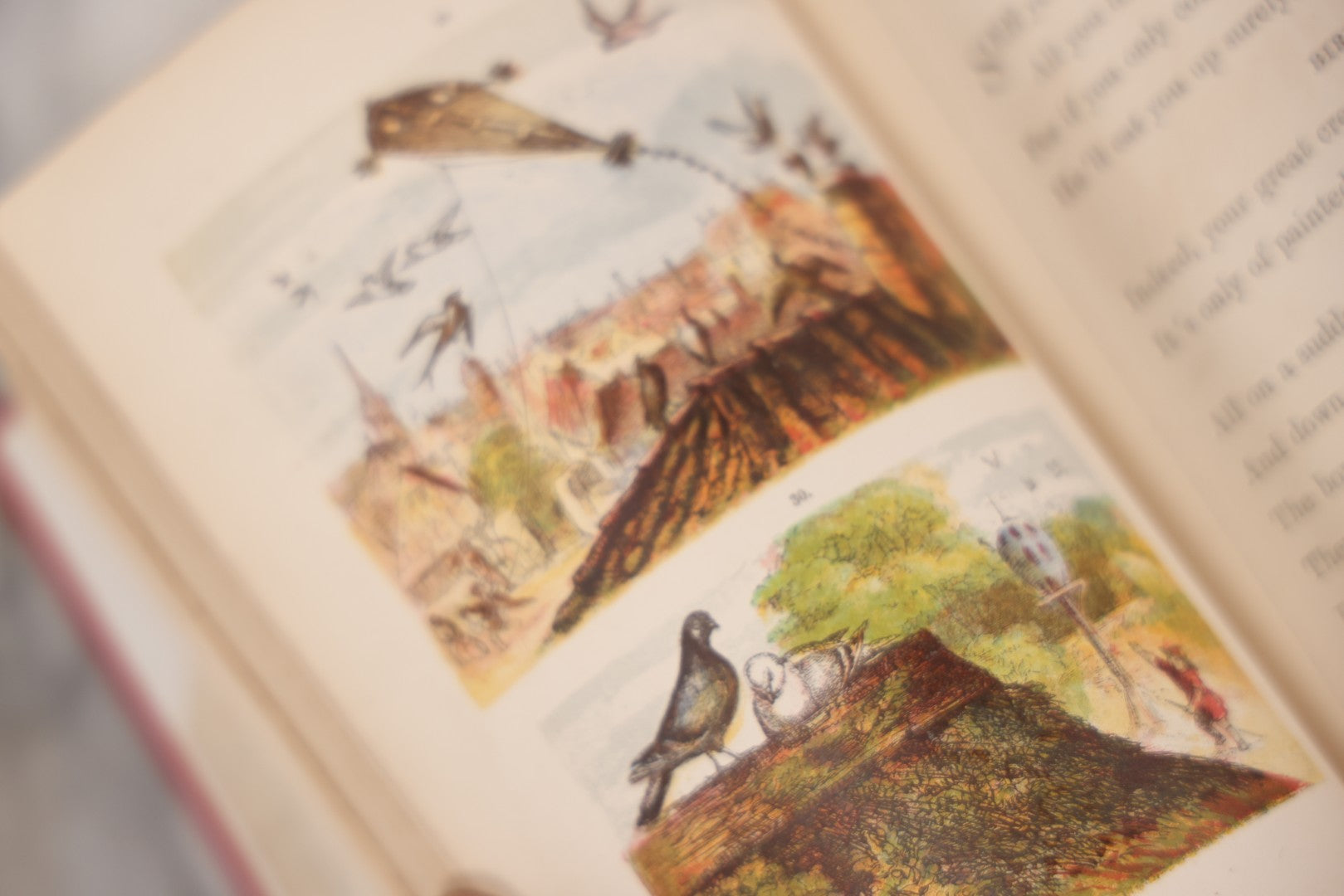 Lot 114 - "One Hundred Picture Fables," Antique Book With Rhymes By F. Hey, Translated By H.W. Dulcken, Illustrated By Otto Speckter, Published By George Routledge And Sons, London, Circa 1895