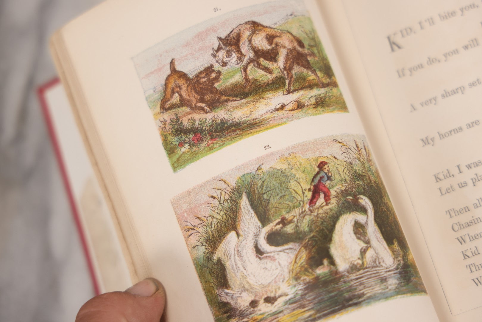Lot 114 - "One Hundred Picture Fables," Antique Book With Rhymes By F. Hey, Translated By H.W. Dulcken, Illustrated By Otto Speckter, Published By George Routledge And Sons, London, Circa 1895