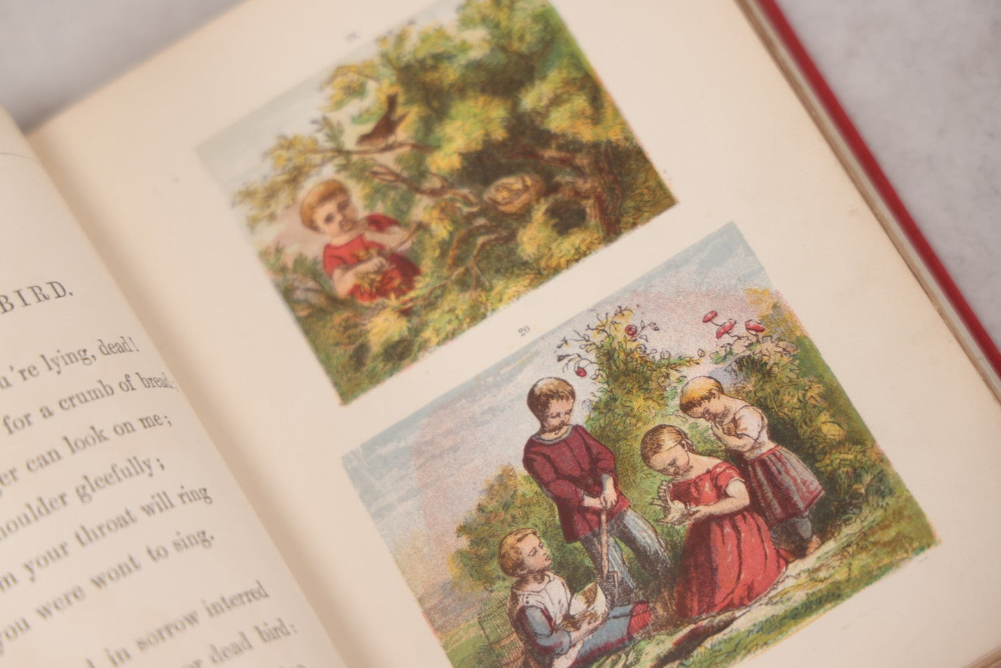 Lot 114 - "One Hundred Picture Fables," Antique Book With Rhymes By F. Hey, Translated By H.W. Dulcken, Illustrated By Otto Speckter, Published By George Routledge And Sons, London, Circa 1895
