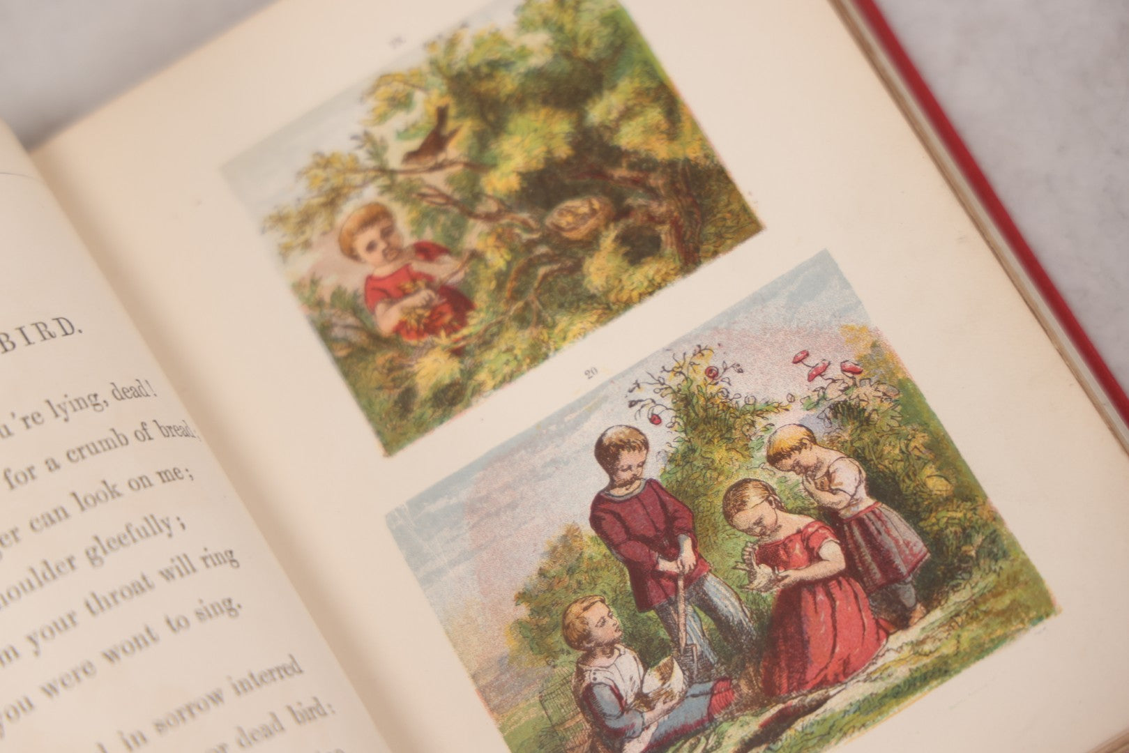 Lot 114 - "One Hundred Picture Fables," Antique Book With Rhymes By F. Hey, Translated By H.W. Dulcken, Illustrated By Otto Speckter, Published By George Routledge And Sons, London, Circa 1895