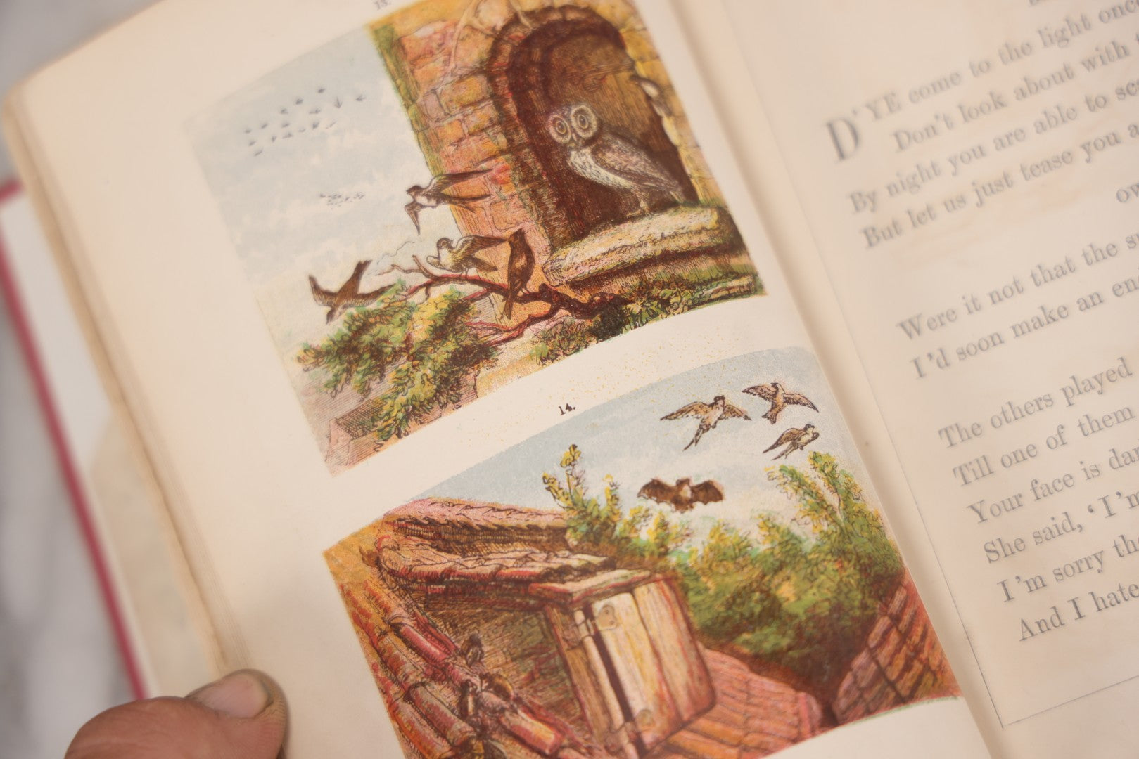 Lot 114 - "One Hundred Picture Fables," Antique Book With Rhymes By F. Hey, Translated By H.W. Dulcken, Illustrated By Otto Speckter, Published By George Routledge And Sons, London, Circa 1895