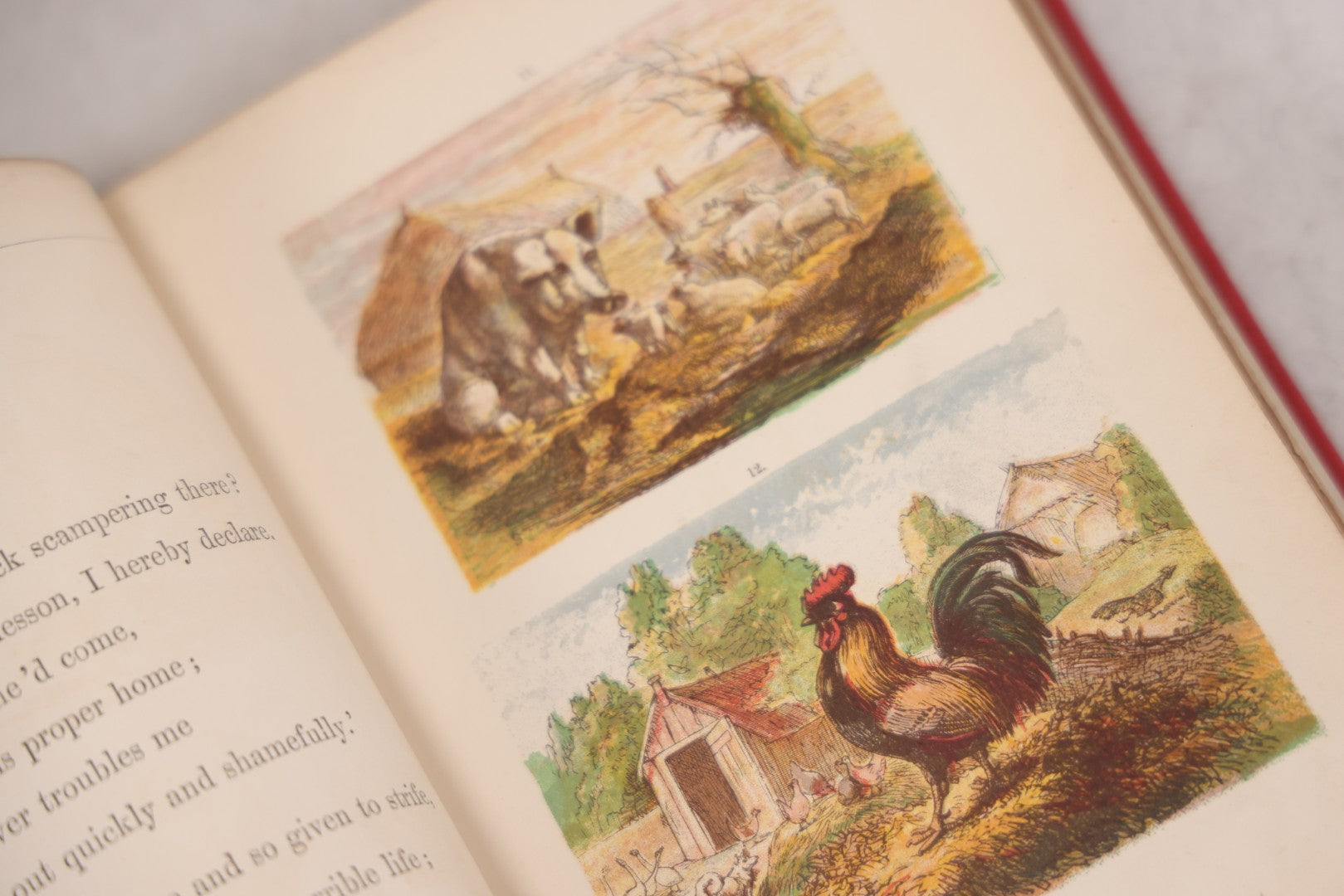 Lot 114 - "One Hundred Picture Fables," Antique Book With Rhymes By F. Hey, Translated By H.W. Dulcken, Illustrated By Otto Speckter, Published By George Routledge And Sons, London, Circa 1895
