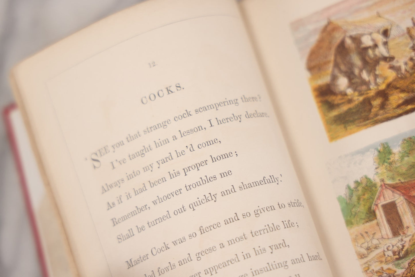 Lot 114 - "One Hundred Picture Fables," Antique Book With Rhymes By F. Hey, Translated By H.W. Dulcken, Illustrated By Otto Speckter, Published By George Routledge And Sons, London, Circa 1895