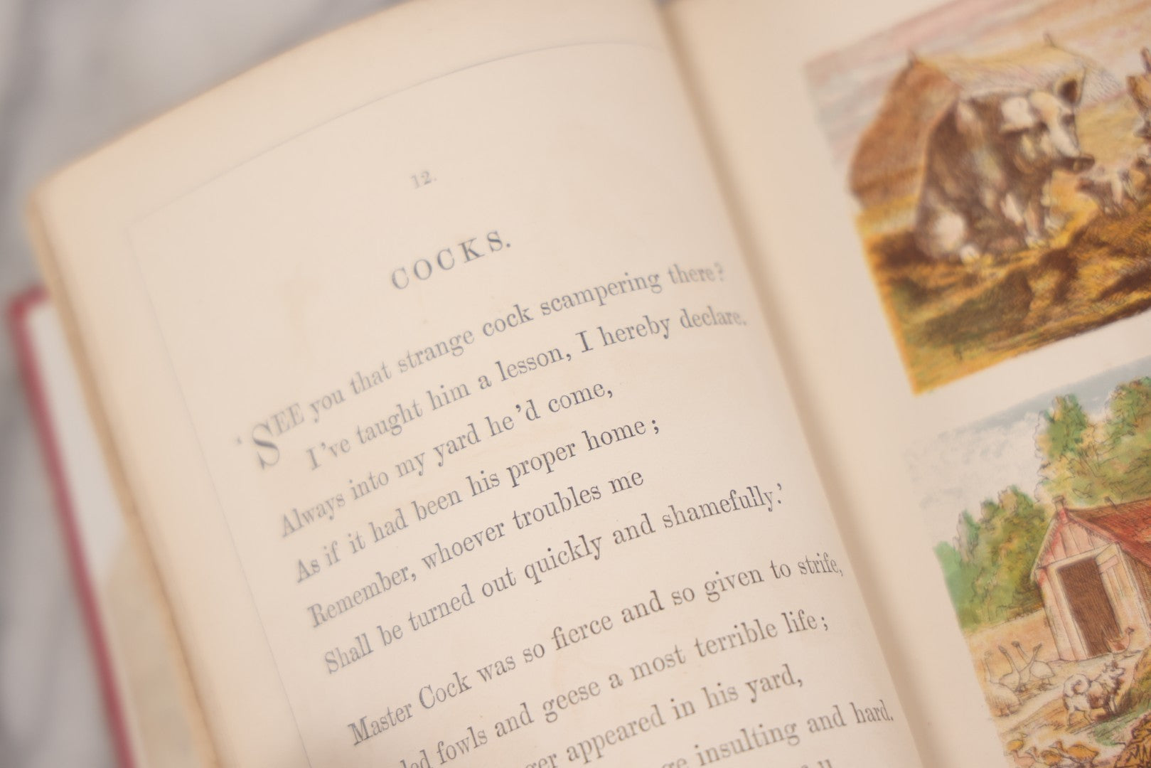 Lot 114 - "One Hundred Picture Fables," Antique Book With Rhymes By F. Hey, Translated By H.W. Dulcken, Illustrated By Otto Speckter, Published By George Routledge And Sons, London, Circa 1895