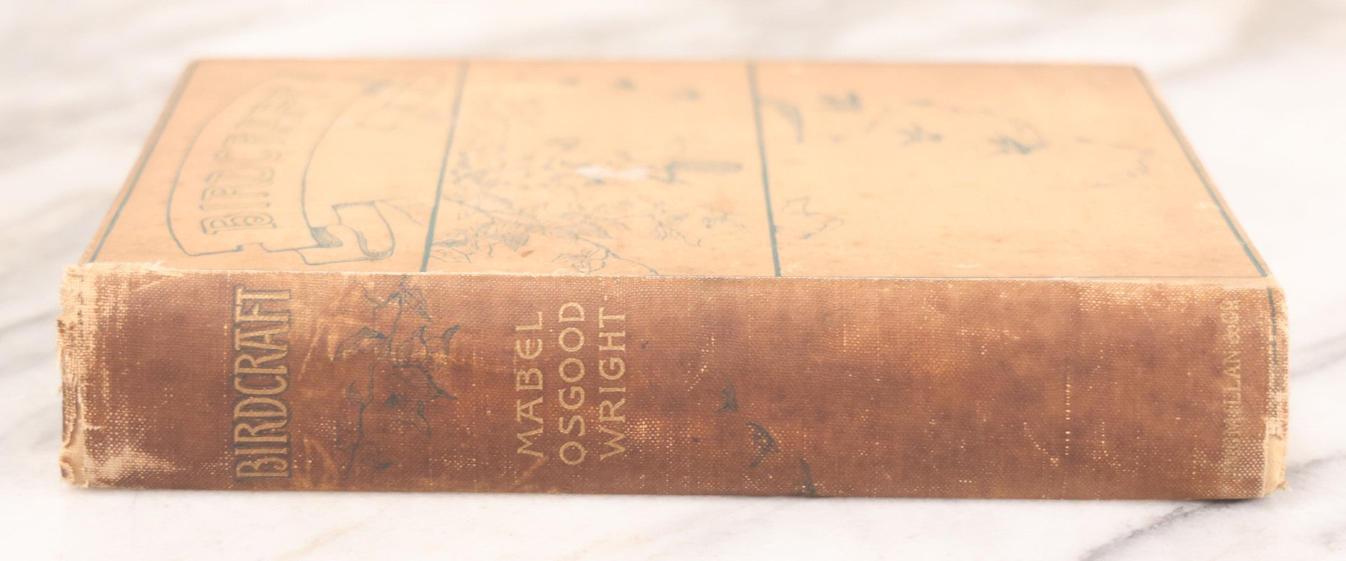 Lot 126 - "Birdcraft: A Field Book Of Two Hundred Song, Game, And Water Birds," Antique Book By Mabel Osgood Wright With 128 Color Plates And Other Illustrations, Published By Macmillan And Co., New York, 1895