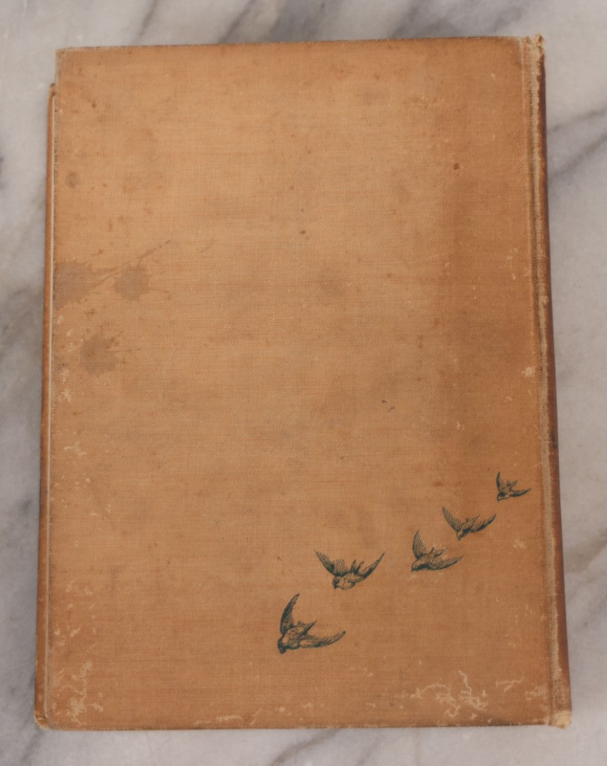 Lot 126 - "Birdcraft: A Field Book Of Two Hundred Song, Game, And Water Birds," Antique Book By Mabel Osgood Wright With 128 Color Plates And Other Illustrations, Published By Macmillan And Co., New York, 1895
