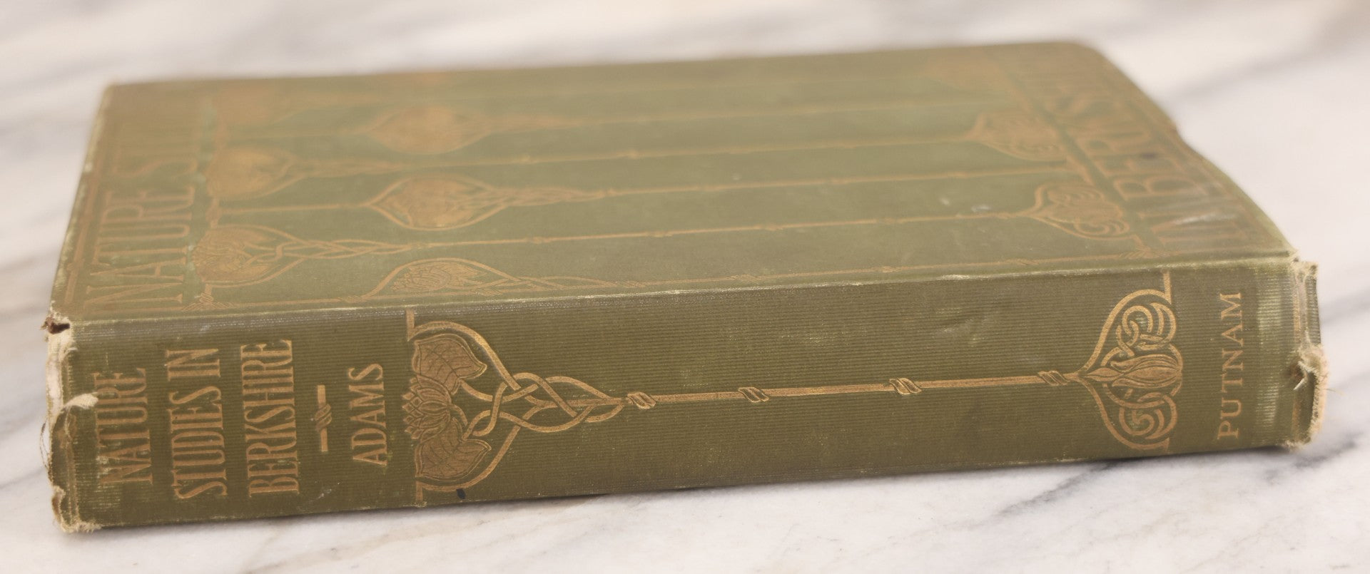 Lot 129 - "Nature Studies In Berkshire" Antique Illustrated Book By John Coleman Adams, With Gilt Art Nouveau Design On Cover, Deckled Edges, Published By G.P. Putnam's Sons, New York, 1899, Note Poor Condition