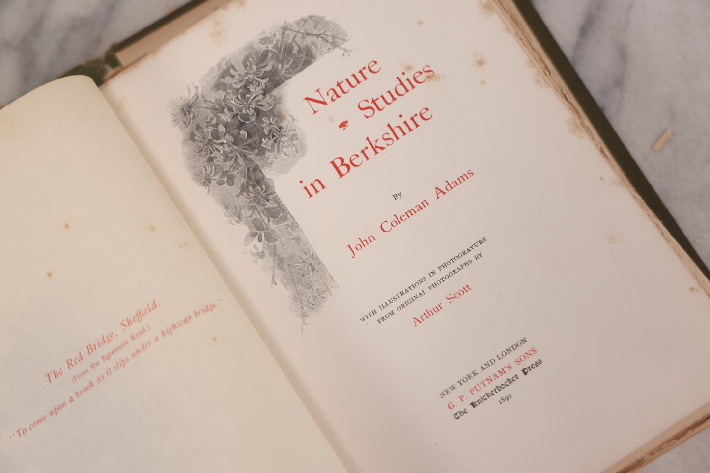 Lot 129 - "Nature Studies In Berkshire" Antique Illustrated Book By John Coleman Adams, With Gilt Art Nouveau Design On Cover, Deckled Edges, Published By G.P. Putnam's Sons, New York, 1899, Note Poor Condition