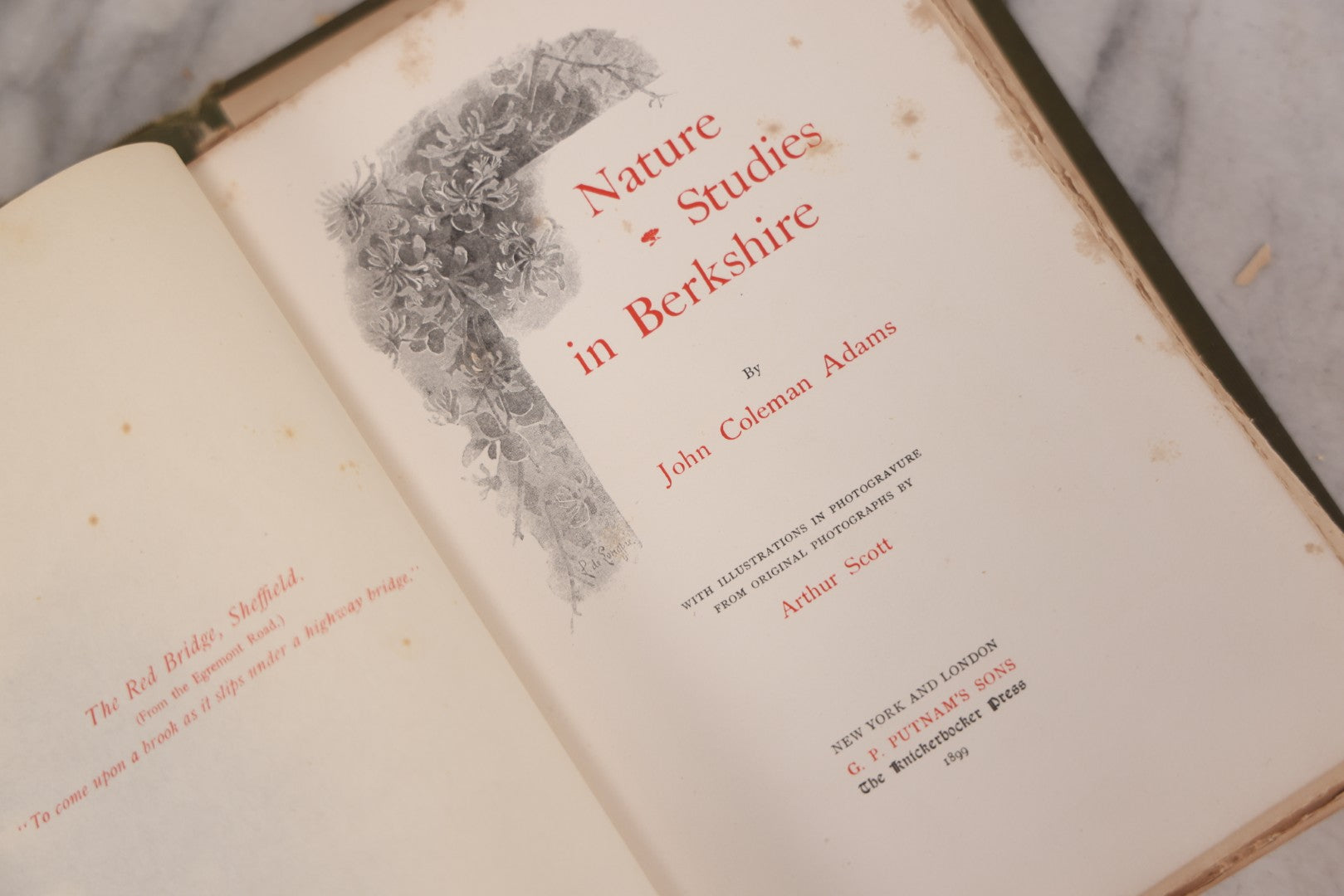 Lot 129 - "Nature Studies In Berkshire" Antique Illustrated Book By John Coleman Adams, With Gilt Art Nouveau Design On Cover, Deckled Edges, Published By G.P. Putnam's Sons, New York, 1899, Note Poor Condition