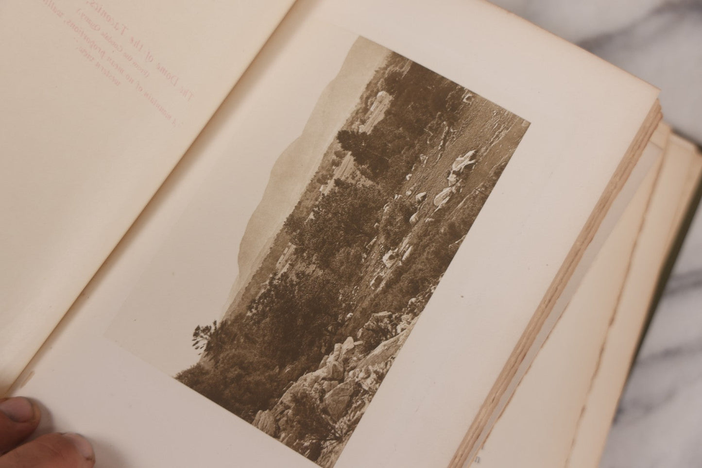 Lot 129 - "Nature Studies In Berkshire" Antique Illustrated Book By John Coleman Adams, With Gilt Art Nouveau Design On Cover, Deckled Edges, Published By G.P. Putnam's Sons, New York, 1899, Note Poor Condition