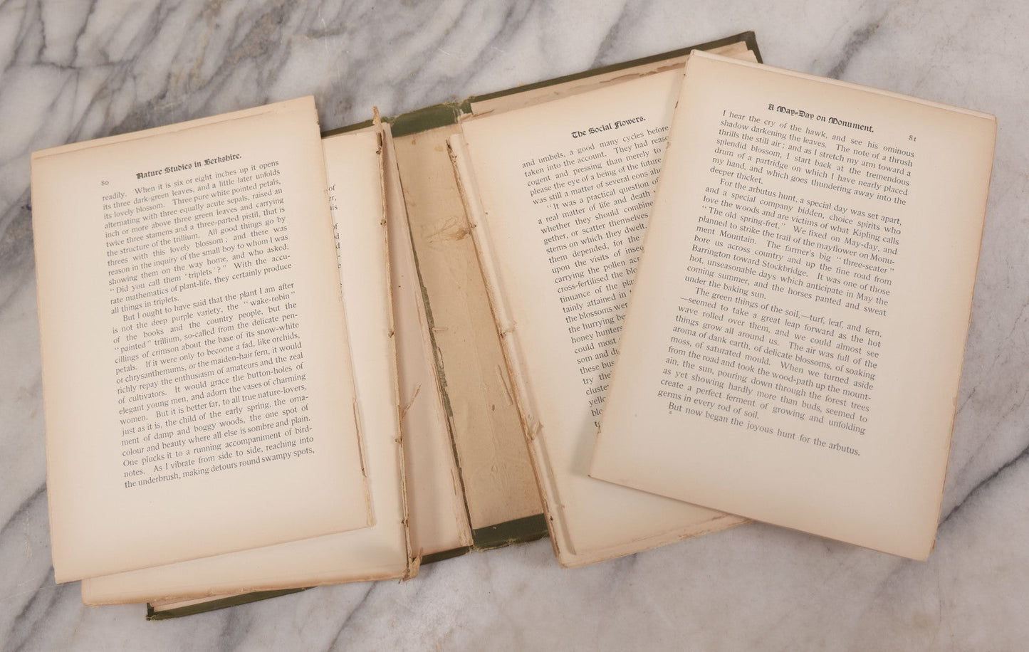 Lot 129 - "Nature Studies In Berkshire" Antique Illustrated Book By John Coleman Adams, With Gilt Art Nouveau Design On Cover, Deckled Edges, Published By G.P. Putnam's Sons, New York, 1899, Note Poor Condition