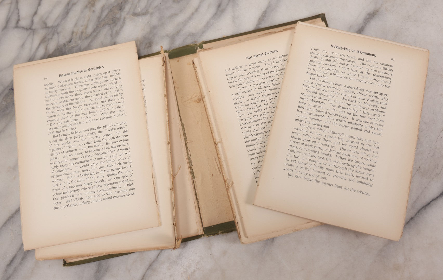 Lot 129 - "Nature Studies In Berkshire" Antique Illustrated Book By John Coleman Adams, With Gilt Art Nouveau Design On Cover, Deckled Edges, Published By G.P. Putnam's Sons, New York, 1899, Note Poor Condition