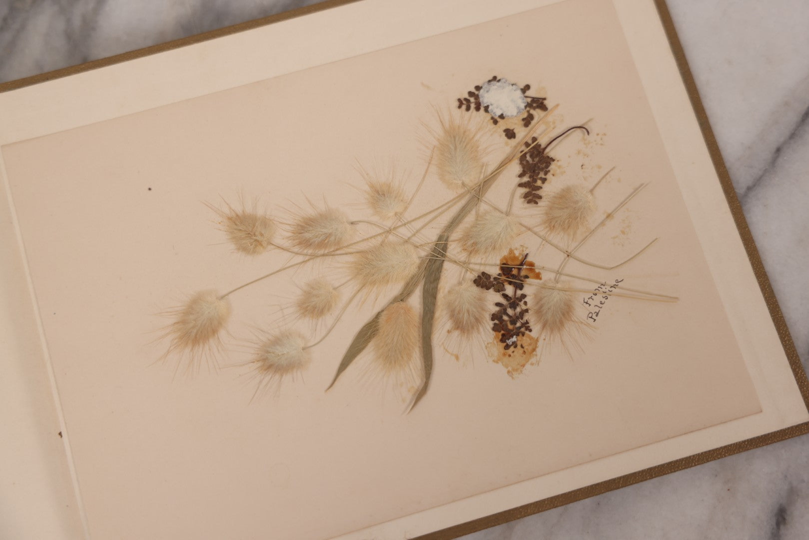 Lot 131 - "Baby's Kingdom" Antique Illustrated Baby Book With Gilt Embossed Clovers And Lettering On Cover, Gilt Foredge, Some Records Of Baby Harold Schenck, Born July 1892, With Calligraphy And Memos From Parents On 10+ Pages
