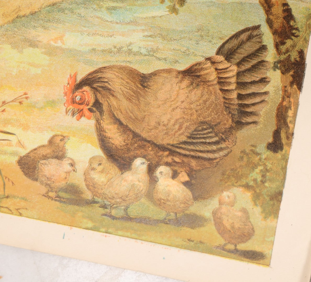 Lot 138 - Grouping Of Six Antique Children's Booklets Including "Country Sunshine" Illustrated By Walter R. Bothams, "The Chicken's Garden Party," Published By Dean & Son, London, "Dolly Mites," Published By Donohue & Co., Chicago, 1910, And Others
