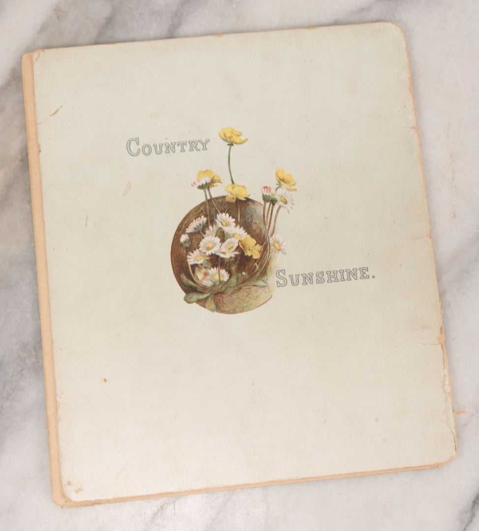 Lot 138 - Grouping Of Six Antique Children's Booklets Including "Country Sunshine" Illustrated By Walter R. Bothams, "The Chicken's Garden Party," Published By Dean & Son, London, "Dolly Mites," Published By Donohue & Co., Chicago, 1910, And Others