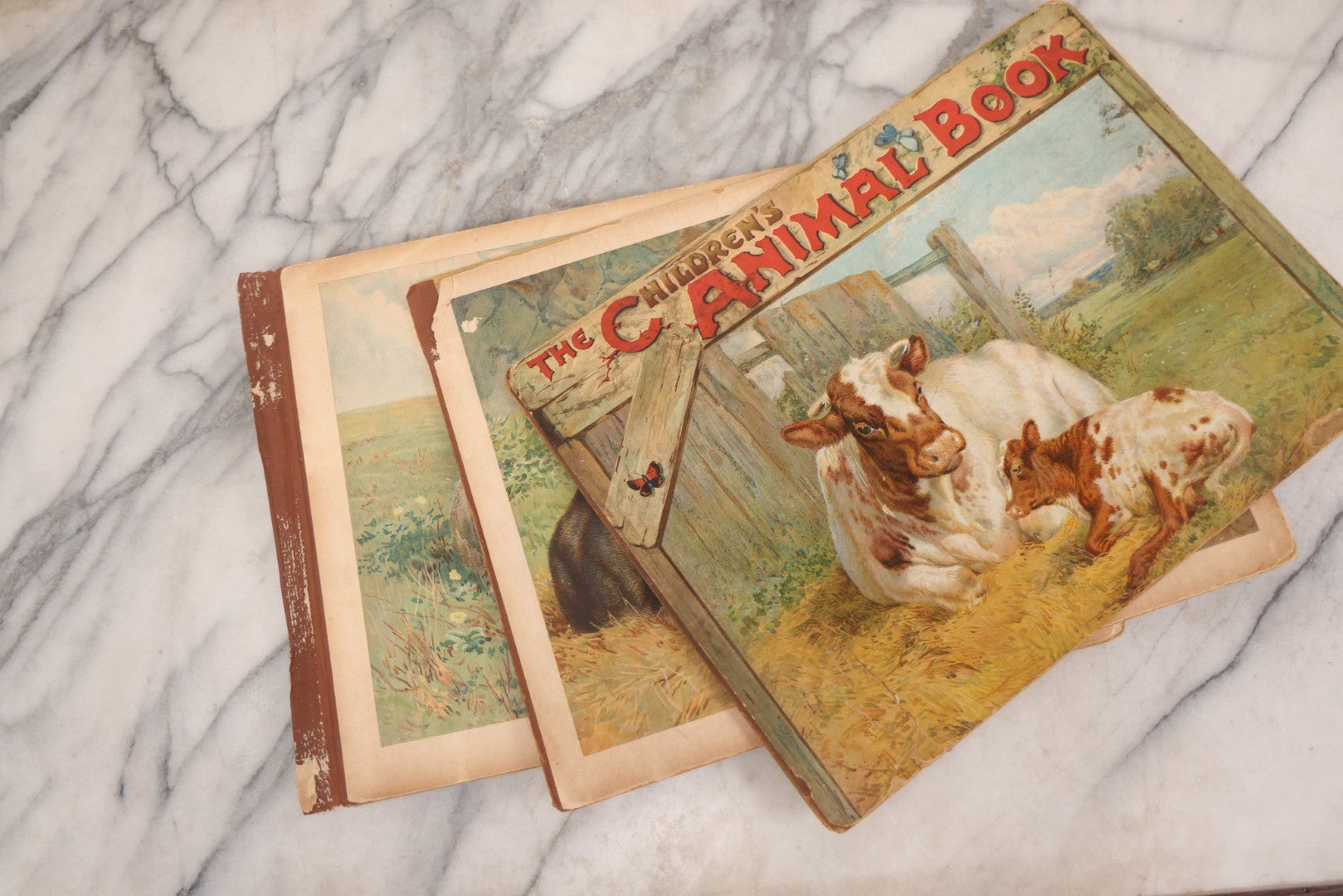 Lot 147 - "The Children's Animal Book," Antique Chromolithograph Children's Cardboard Book With Animal Illustrations, Published By Ernest Nister, London, And E.P. Dutton & Co., New York