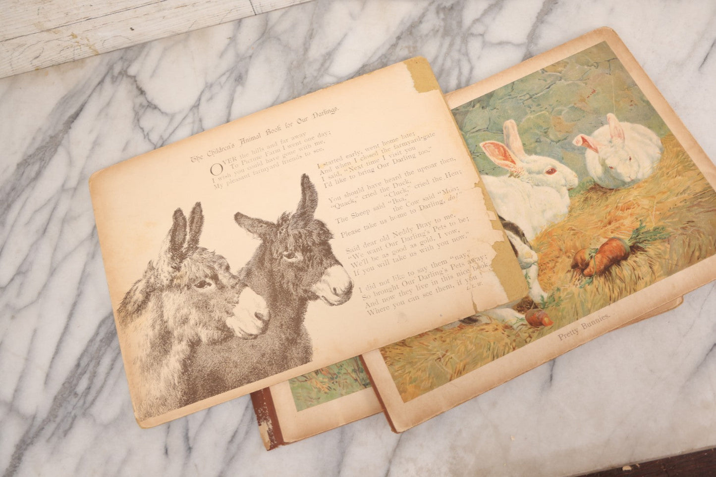 Lot 147 - "The Children's Animal Book," Antique Chromolithograph Children's Cardboard Book With Animal Illustrations, Published By Ernest Nister, London, And E.P. Dutton & Co., New York