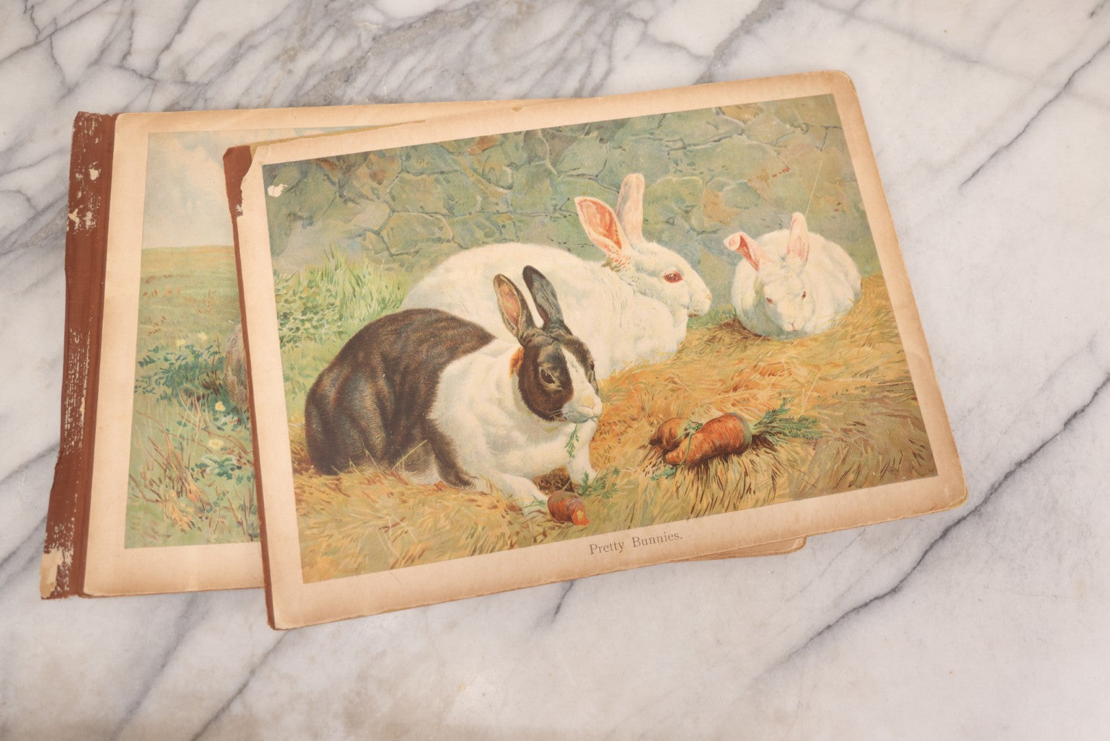 Lot 147 - "The Children's Animal Book," Antique Chromolithograph Children's Cardboard Book With Animal Illustrations, Published By Ernest Nister, London, And E.P. Dutton & Co., New York