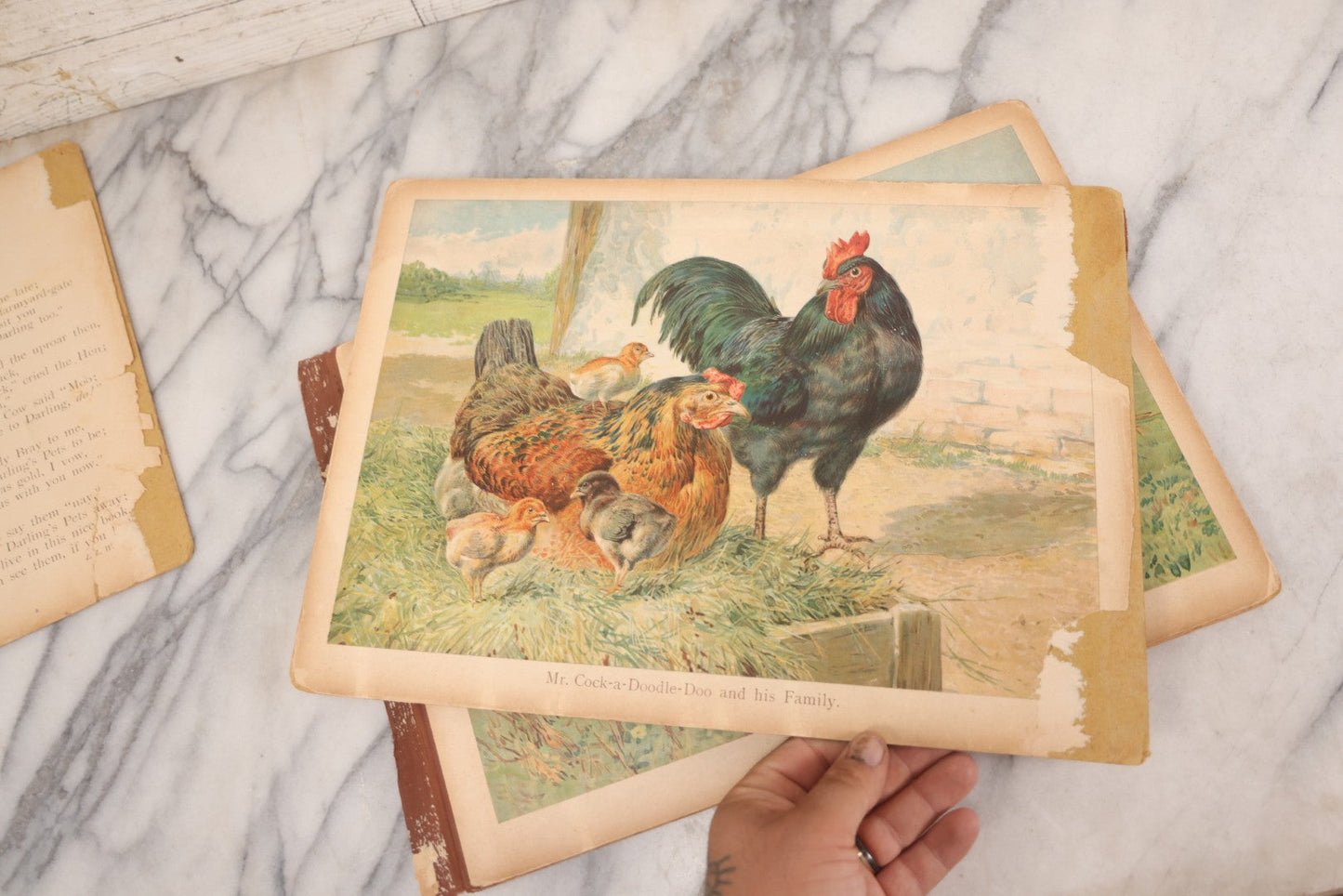 Lot 147 - "The Children's Animal Book," Antique Chromolithograph Children's Cardboard Book With Animal Illustrations, Published By Ernest Nister, London, And E.P. Dutton & Co., New York