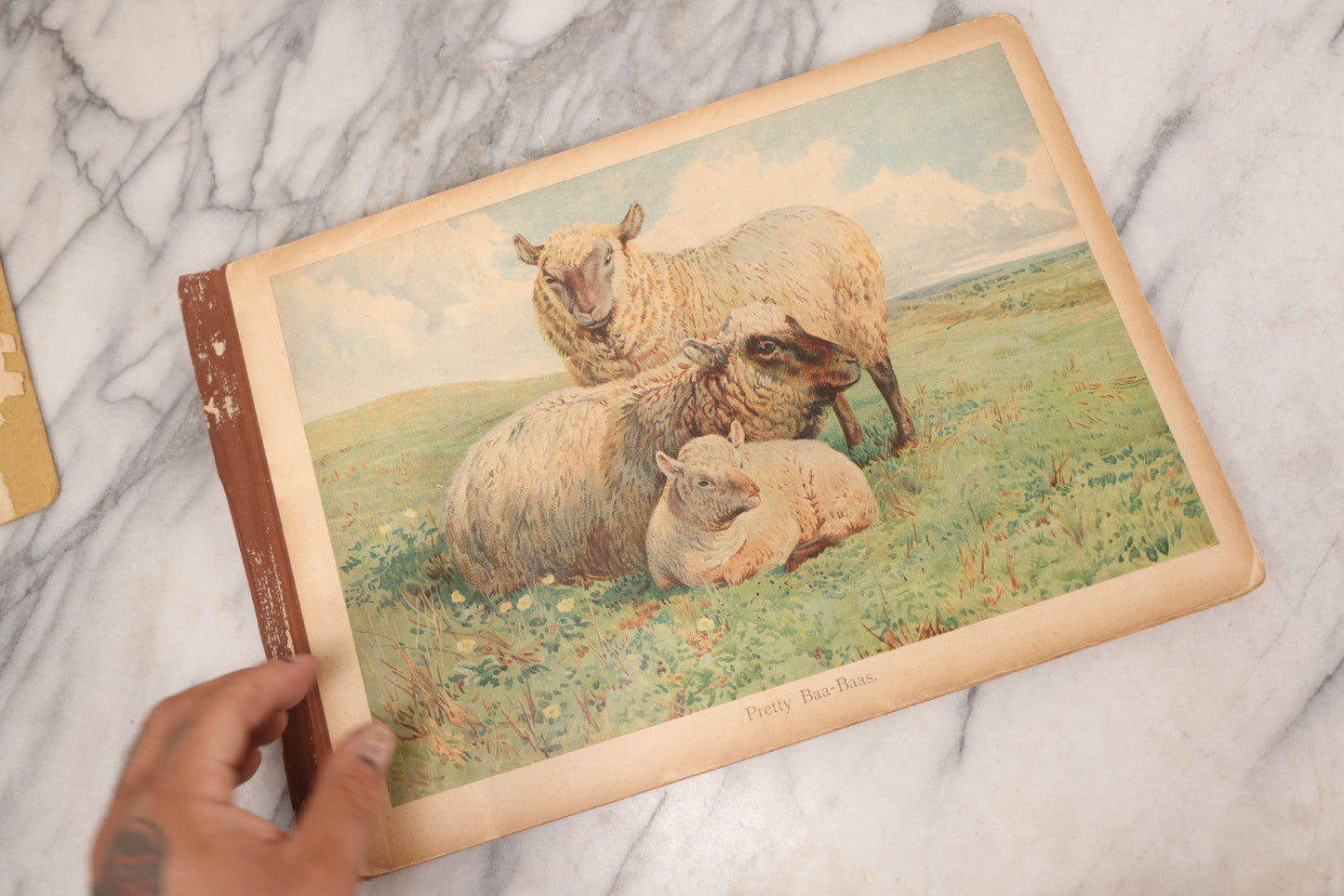 Lot 147 - "The Children's Animal Book," Antique Chromolithograph Children's Cardboard Book With Animal Illustrations, Published By Ernest Nister, London, And E.P. Dutton & Co., New York