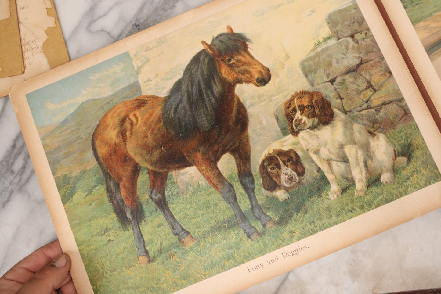 Lot 147 - "The Children's Animal Book," Antique Chromolithograph Children's Cardboard Book With Animal Illustrations, Published By Ernest Nister, London, And E.P. Dutton & Co., New York