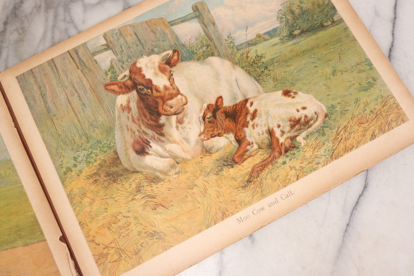 Lot 147 - "The Children's Animal Book," Antique Chromolithograph Children's Cardboard Book With Animal Illustrations, Published By Ernest Nister, London, And E.P. Dutton & Co., New York