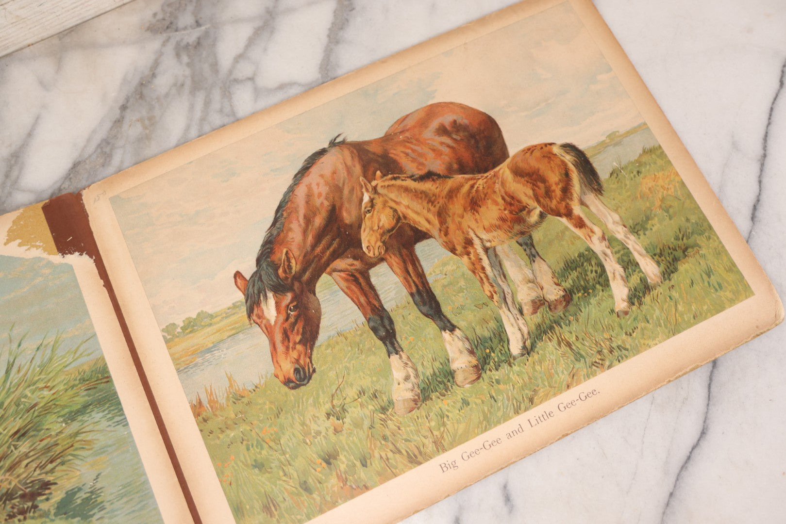 Lot 147 - "The Children's Animal Book," Antique Chromolithograph Children's Cardboard Book With Animal Illustrations, Published By Ernest Nister, London, And E.P. Dutton & Co., New York